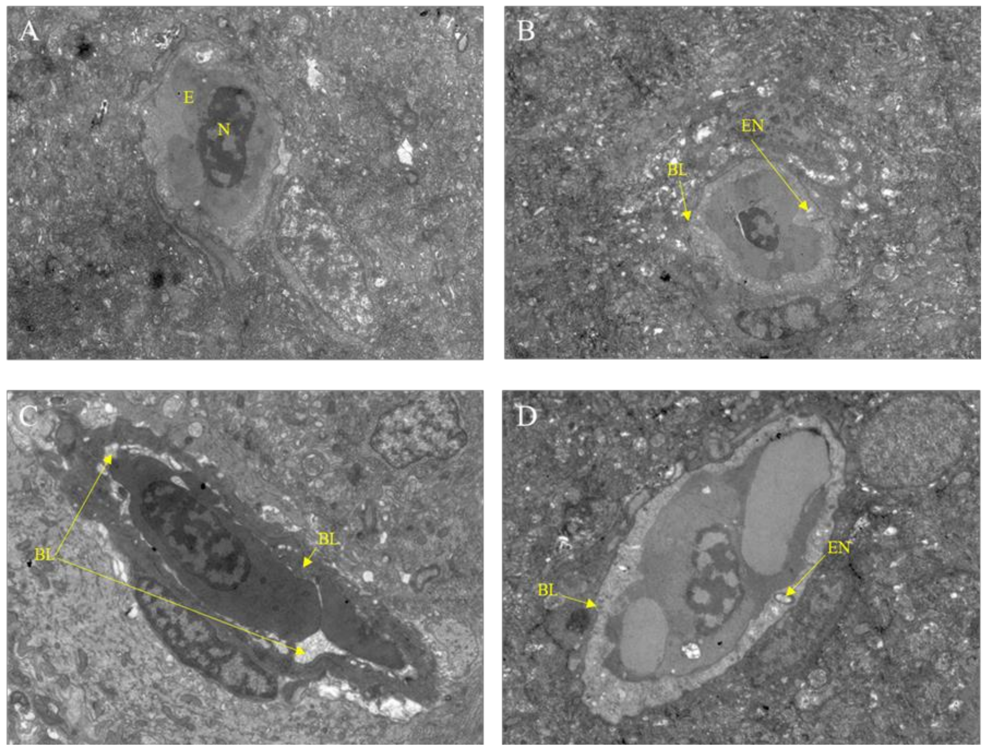 Ijms 23 06282 g003 550