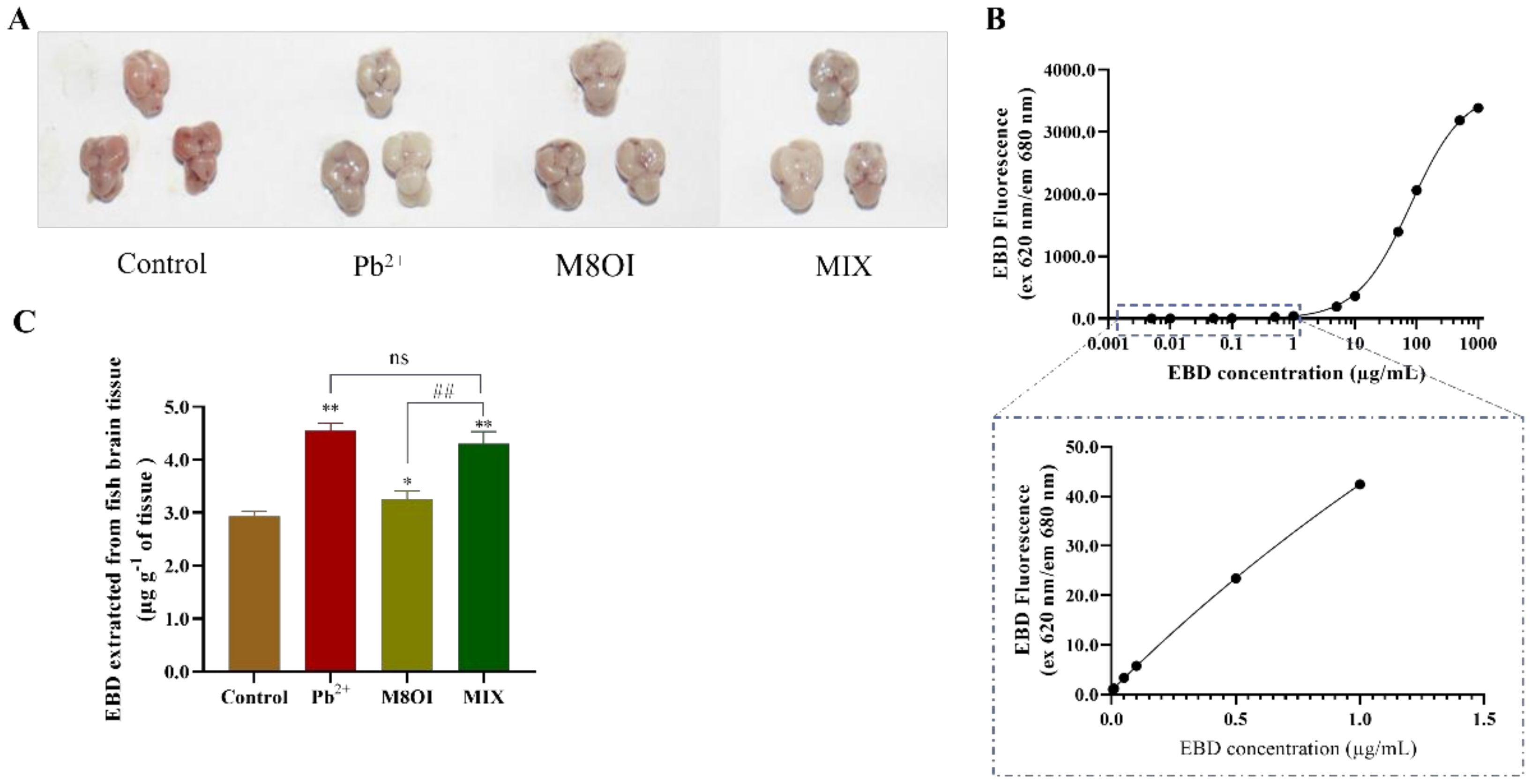Ijms 23 06282 g004 550