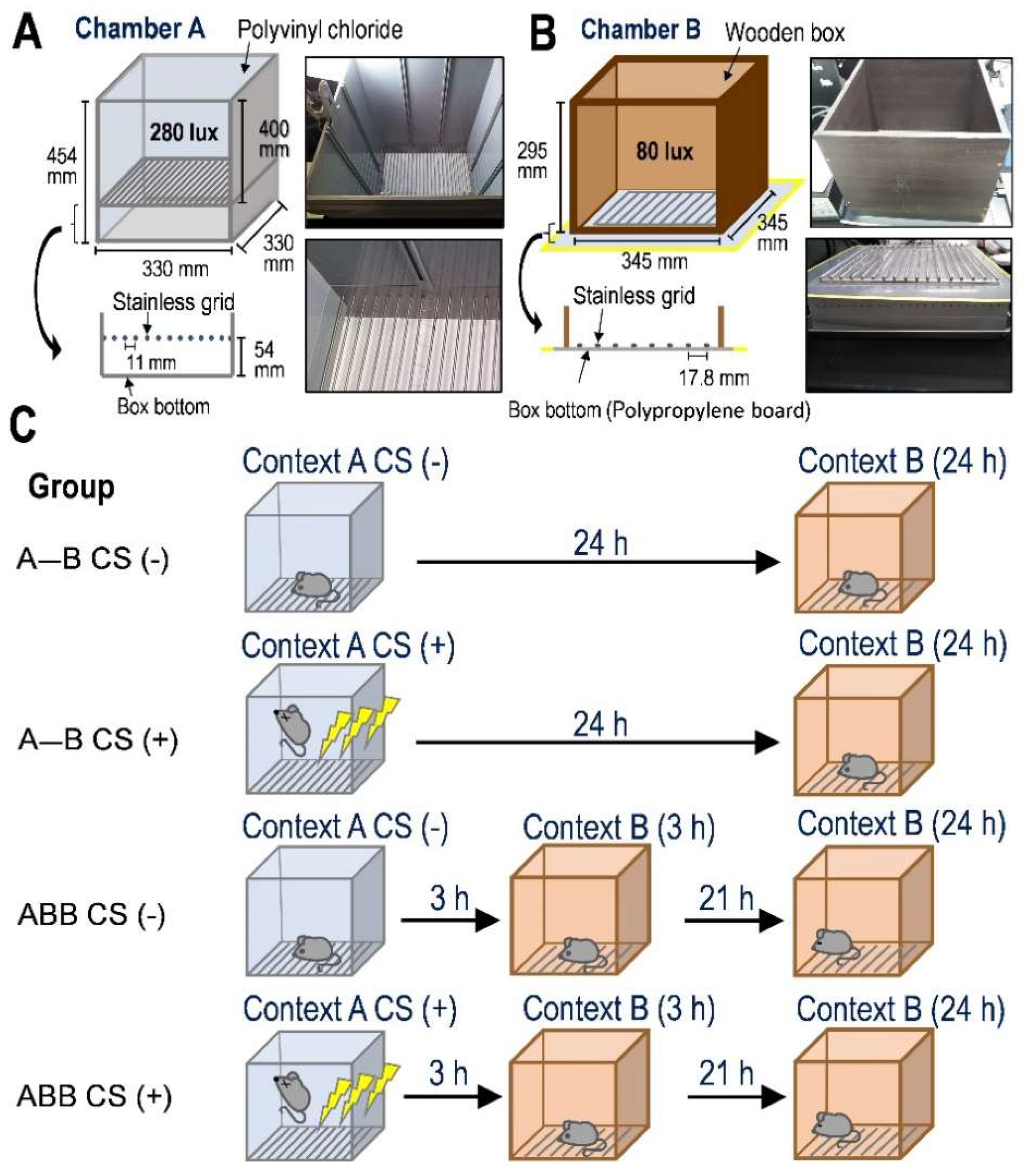 Ijms 23 06286 g001 Ijms 23 06286 g001