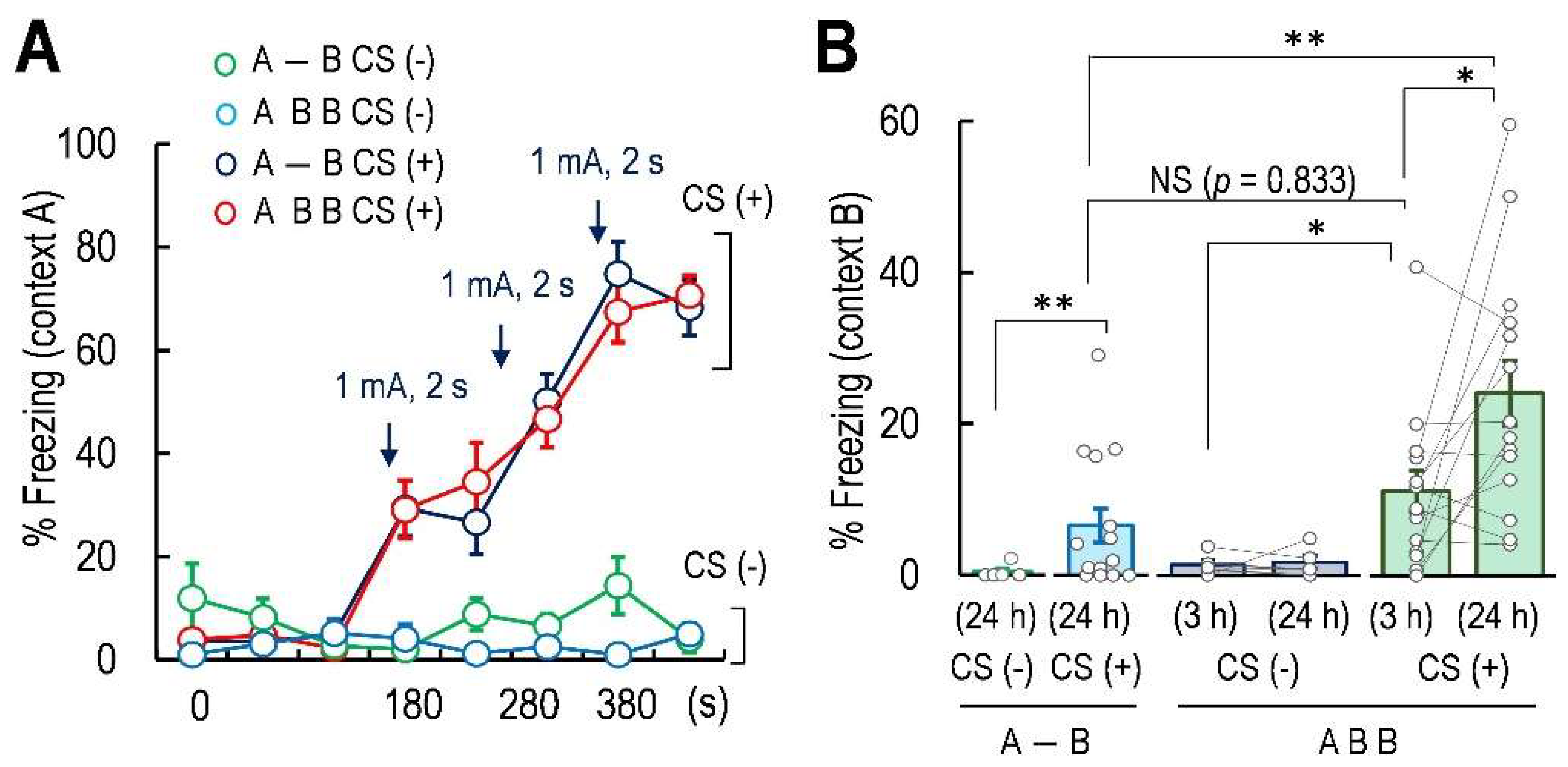Ijms 23 06286 g002 Ijms 23 06286 g002