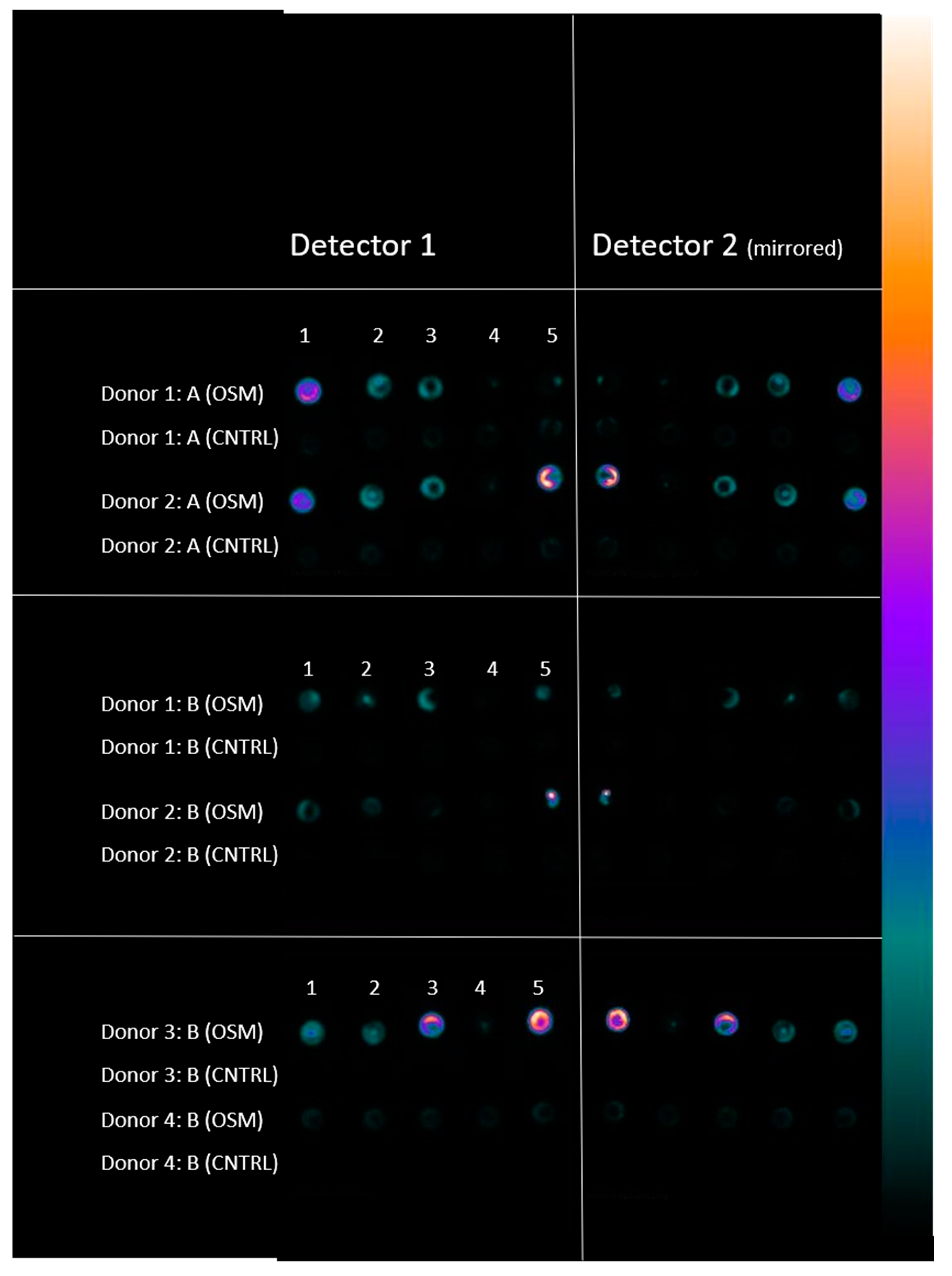 Ijms 23 06288 g005 550