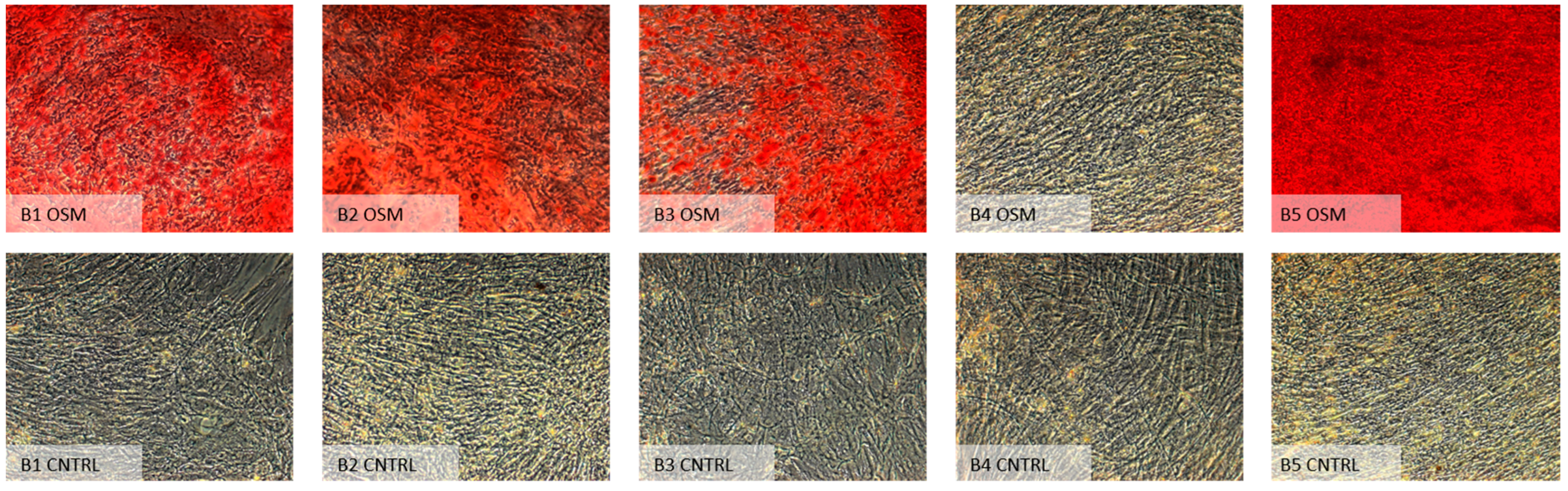 Ijms 23 06288 g007 550