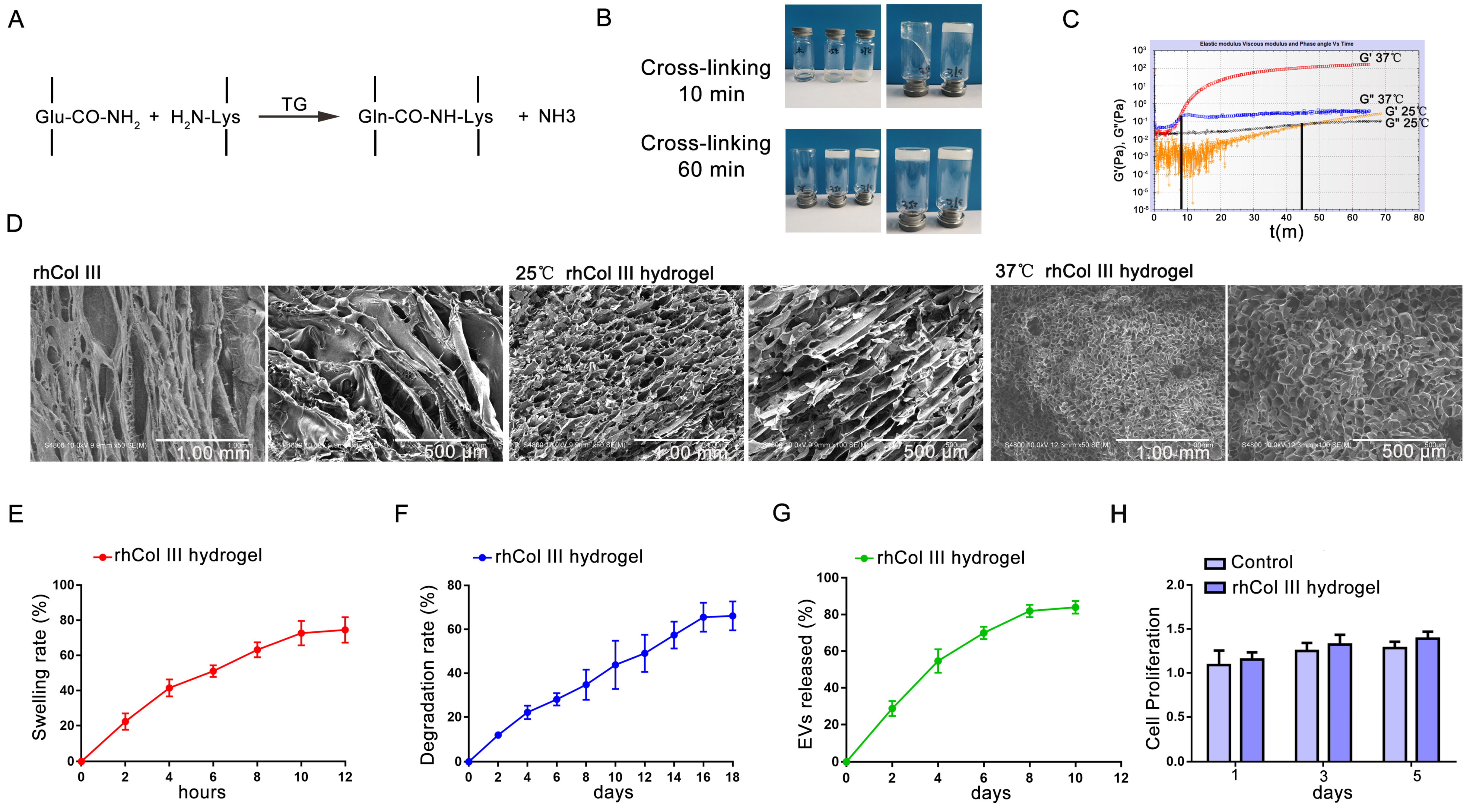Ijms 23 06289 g002 550