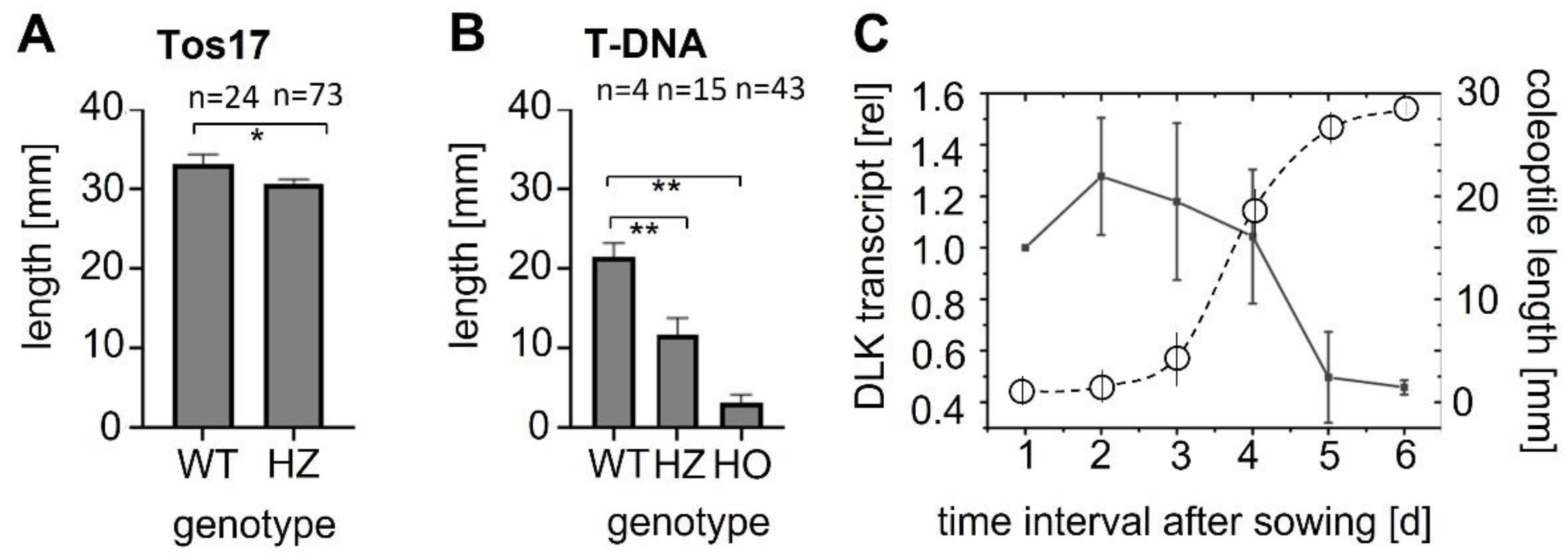 Ijms 23 06291 g001 550