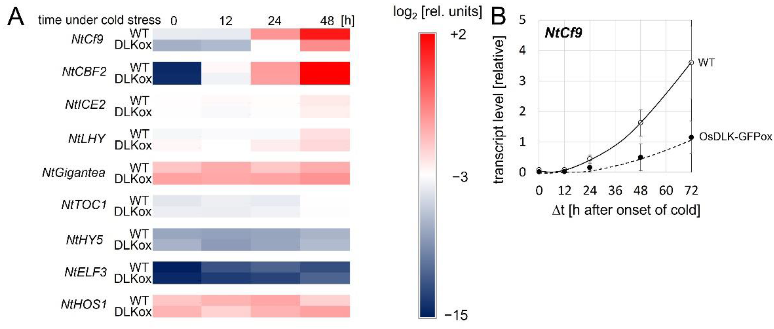 Ijms 23 06291 g004 550