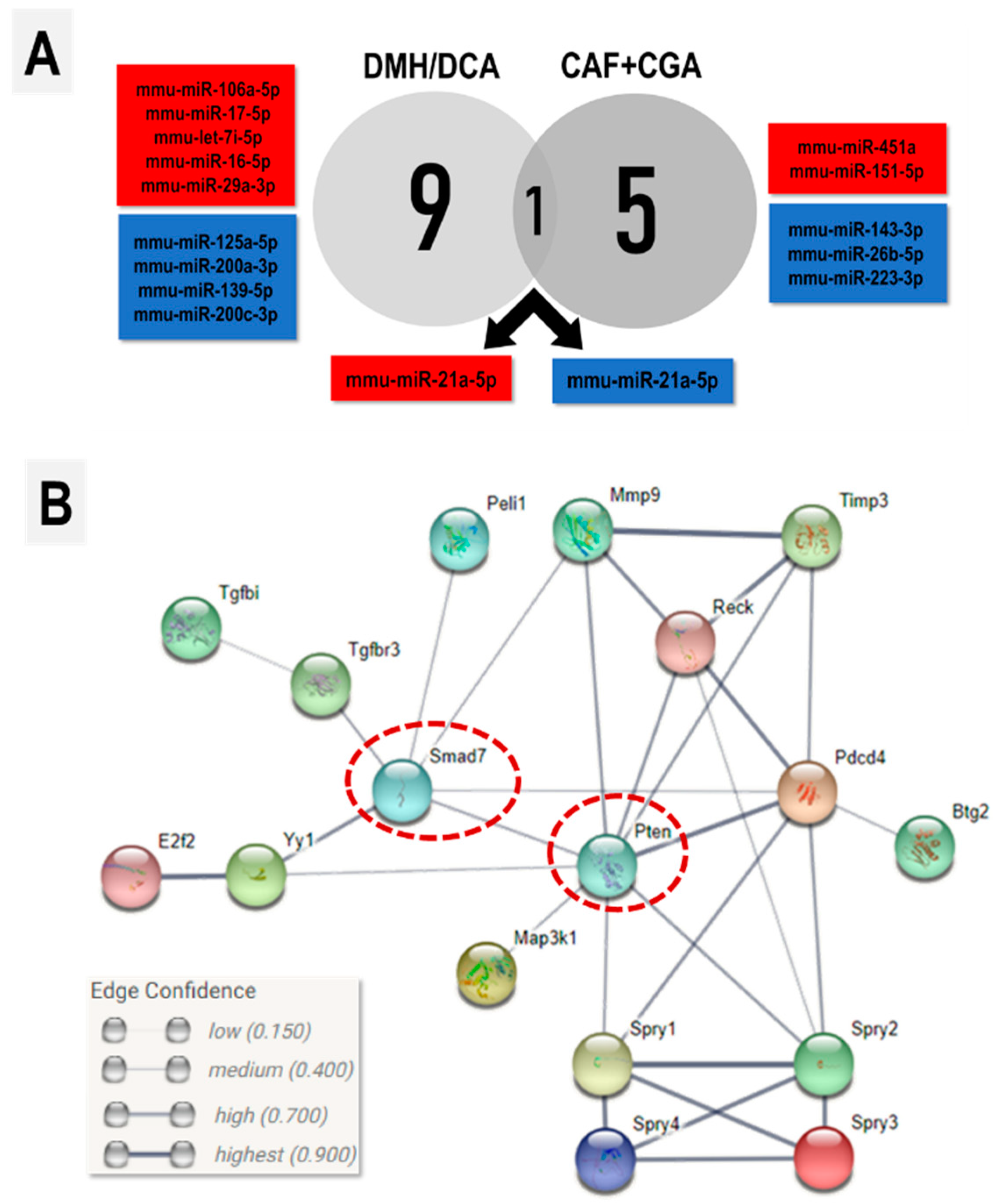 Ijms 23 06292 g004 550