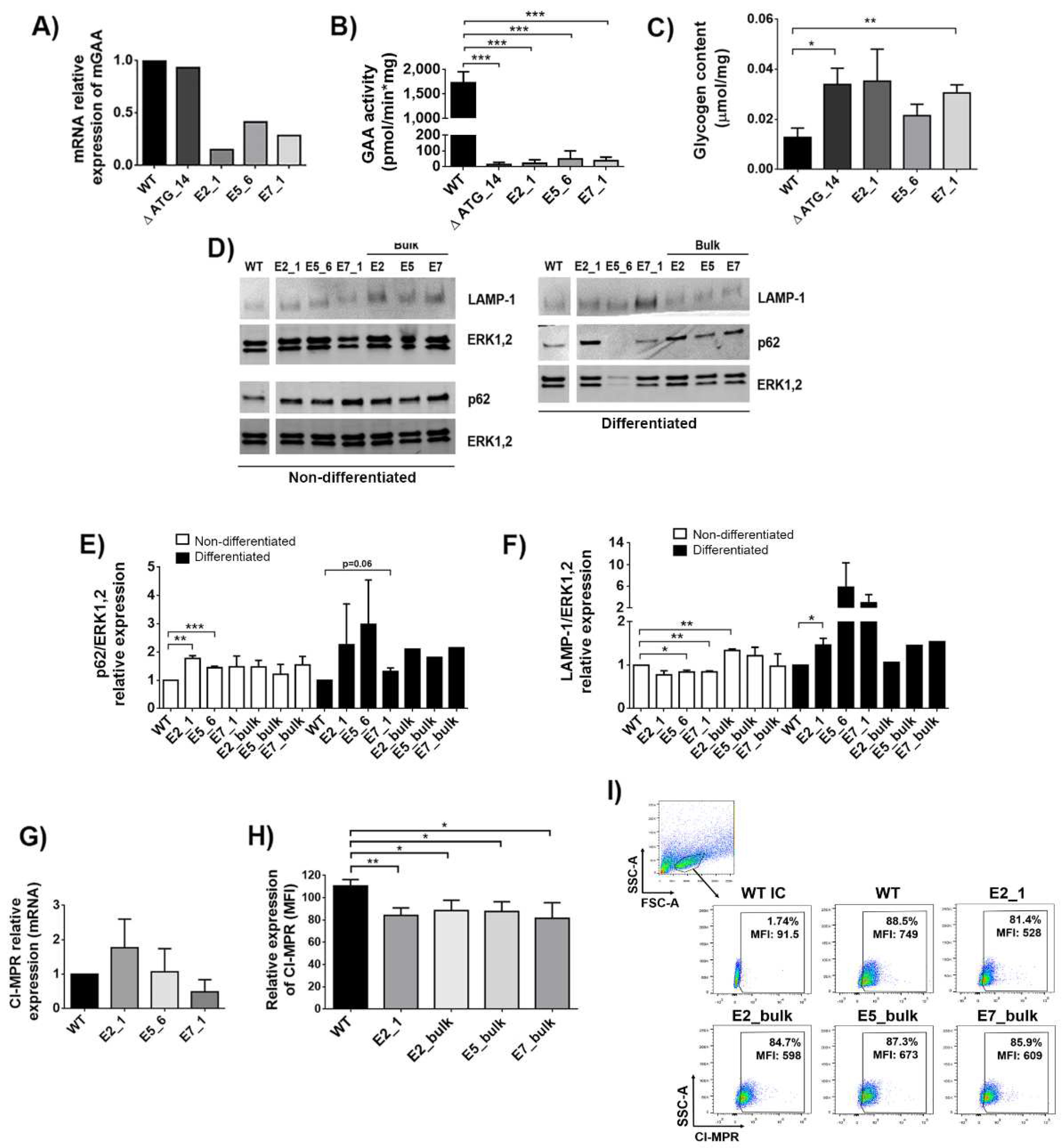 Ijms 23 06298 g002 Ijms 23 06298 g002