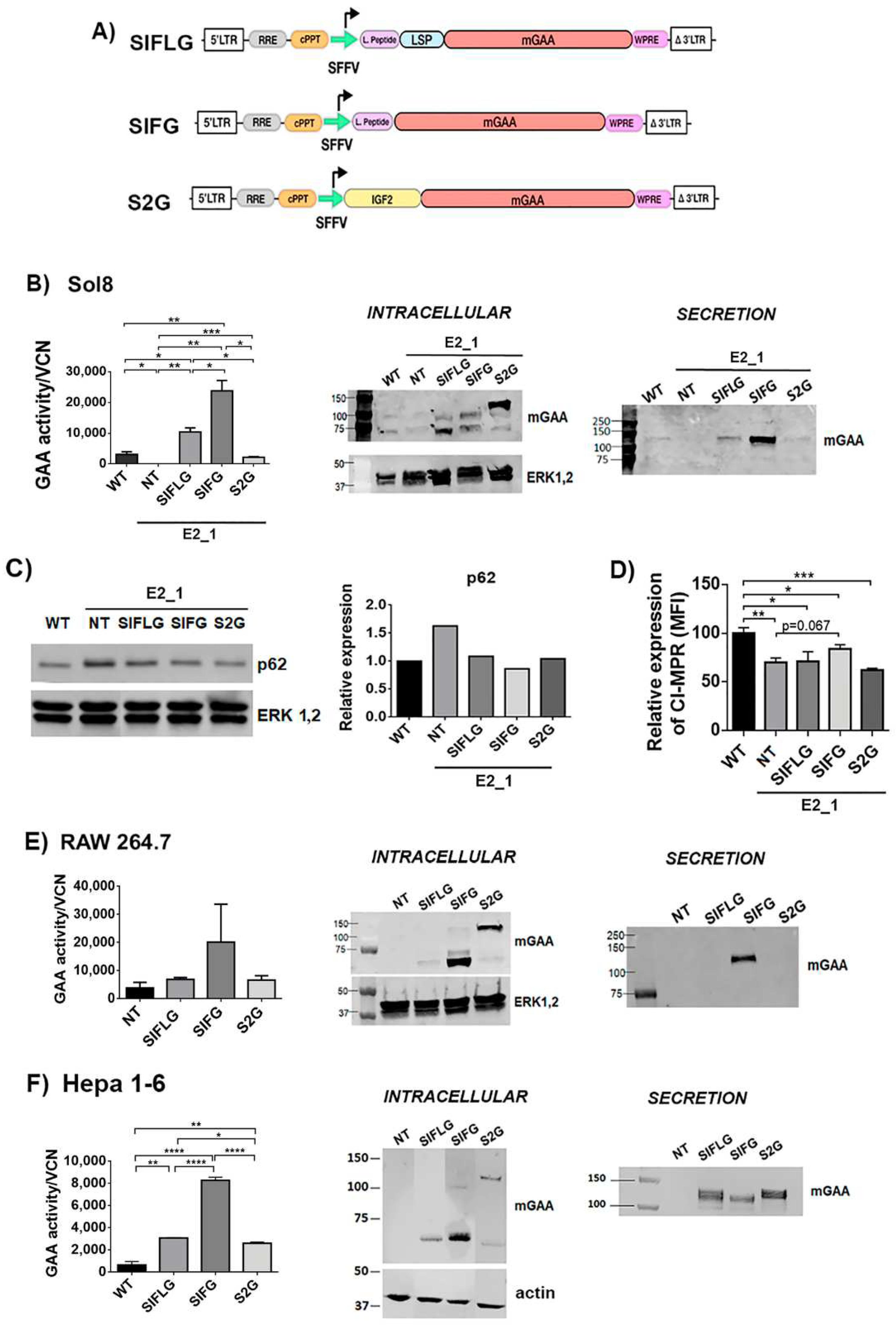 Ijms 23 06298 g004 Ijms 23 06298 g004