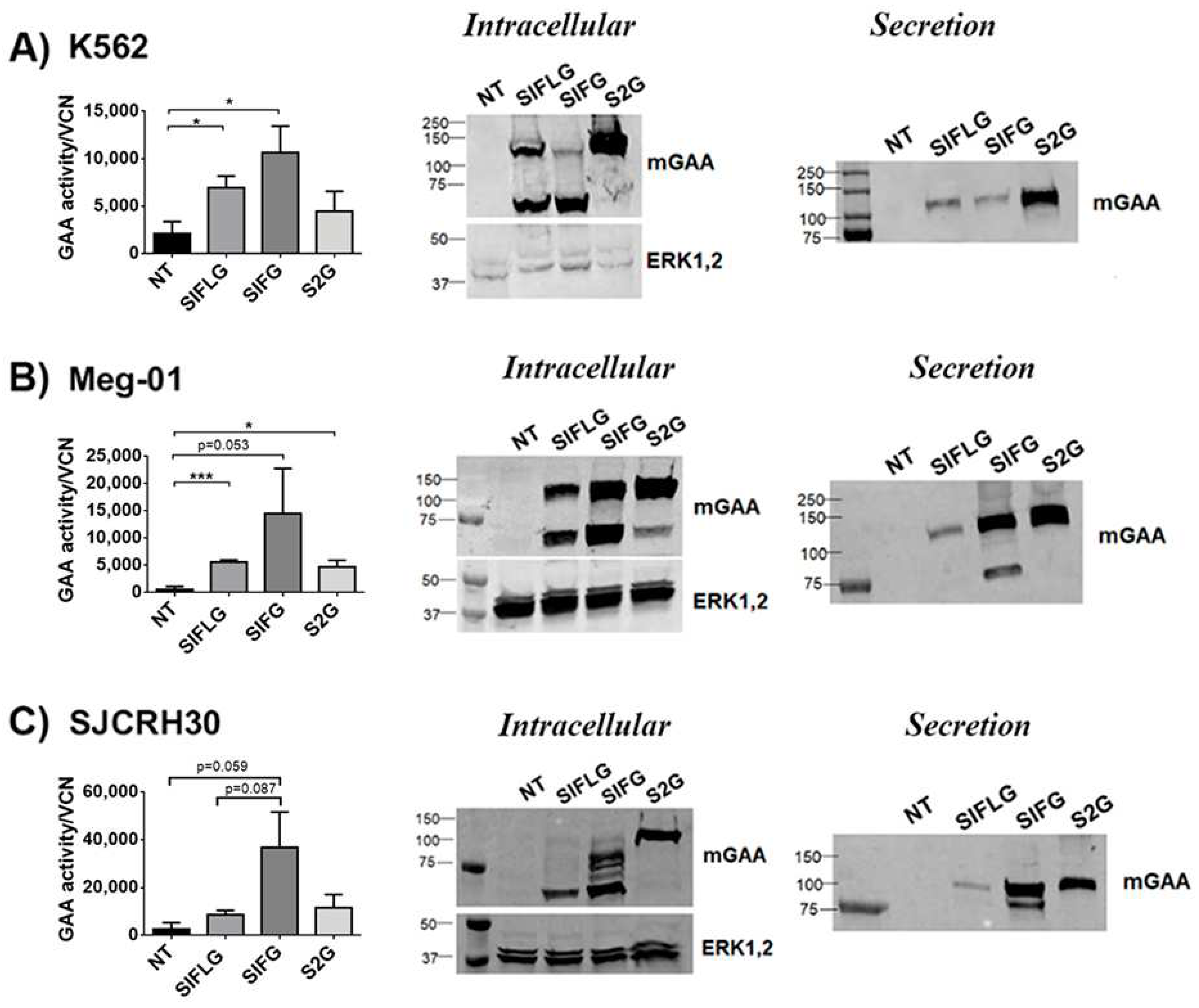 Ijms 23 06298 g005 Ijms 23 06298 g005