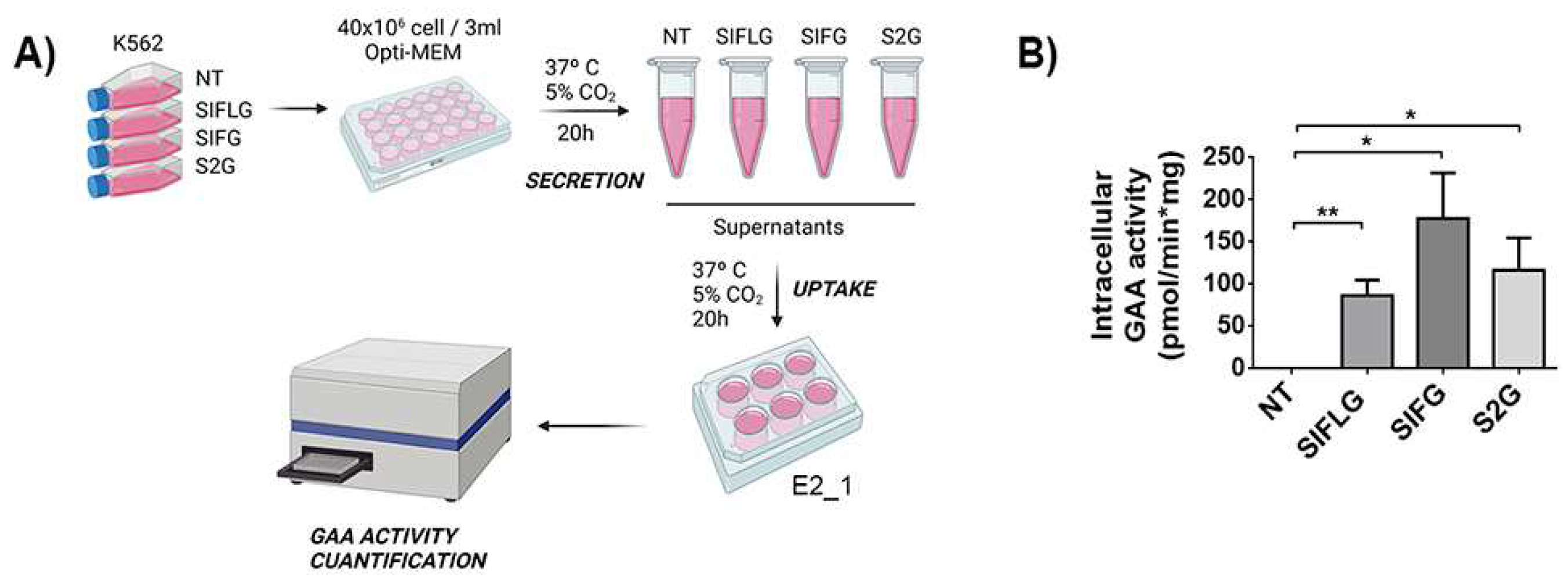 Ijms 23 06298 g006 Ijms 23 06298 g006