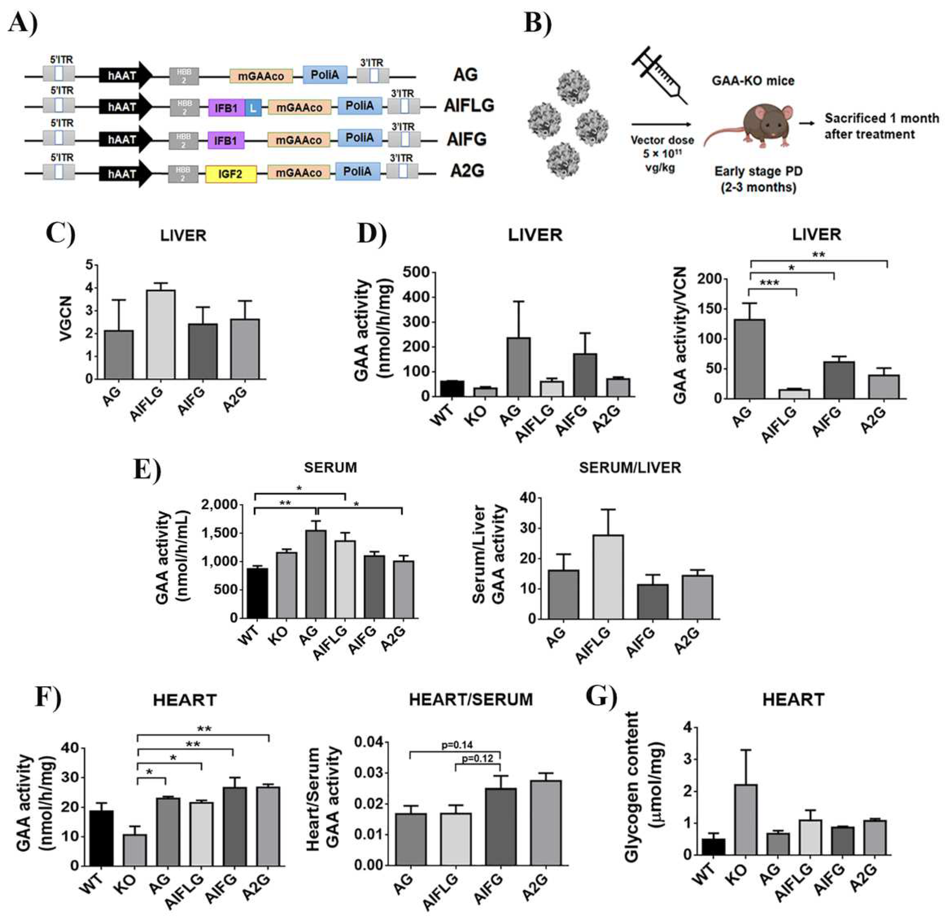 Ijms 23 06298 g007 Ijms 23 06298 g007
