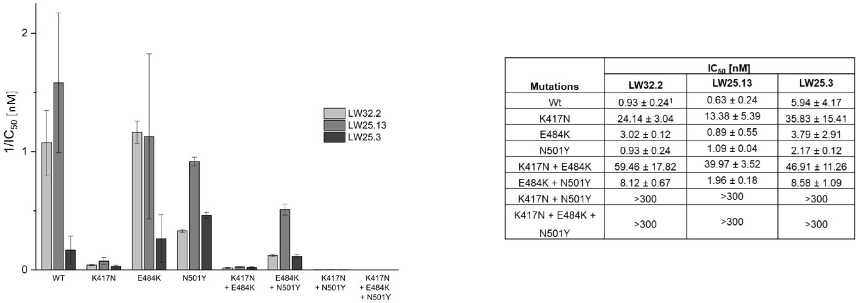 Ijms 23 06309 g003 550