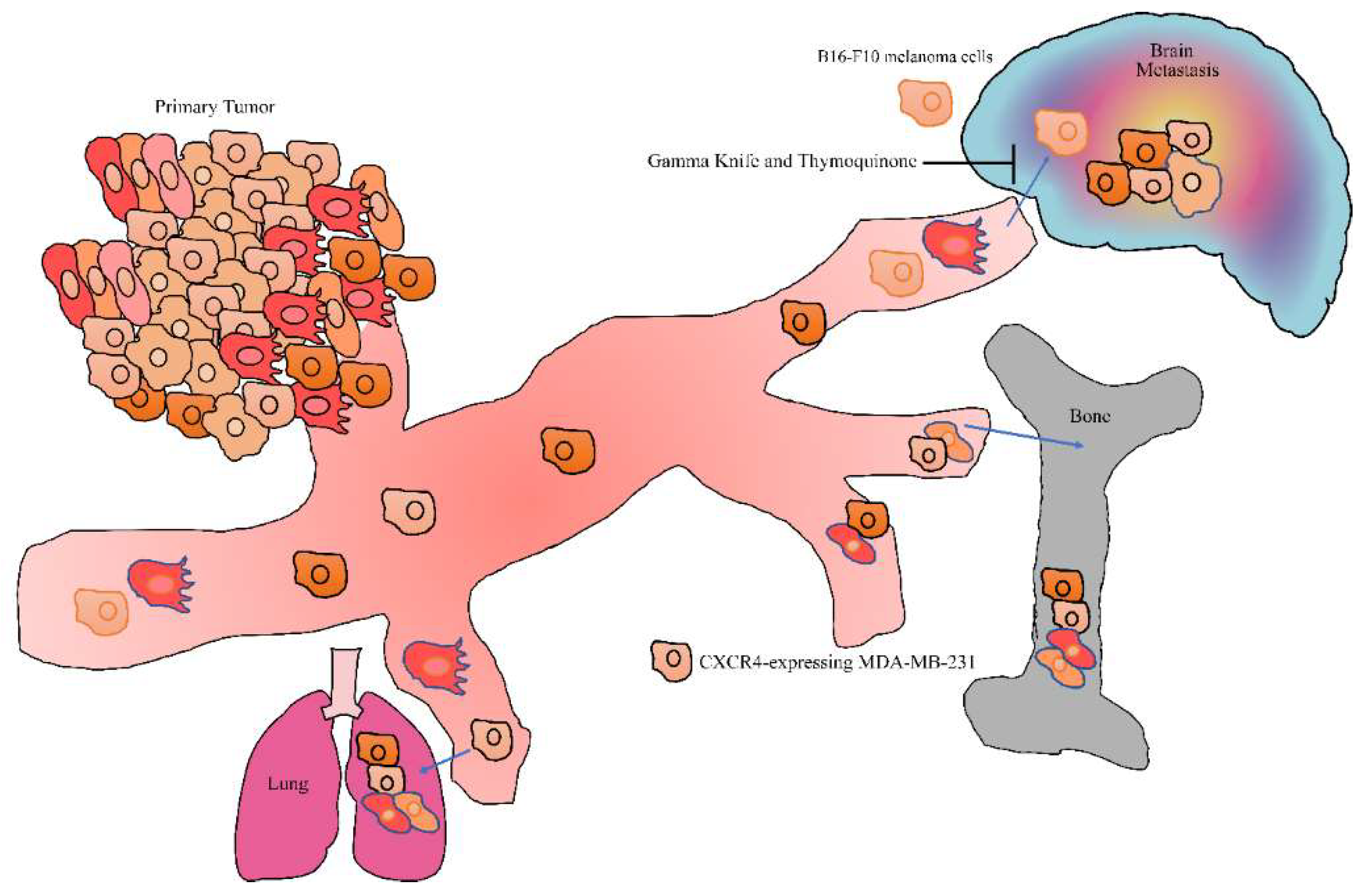 Ijms 23 06311 g002 550