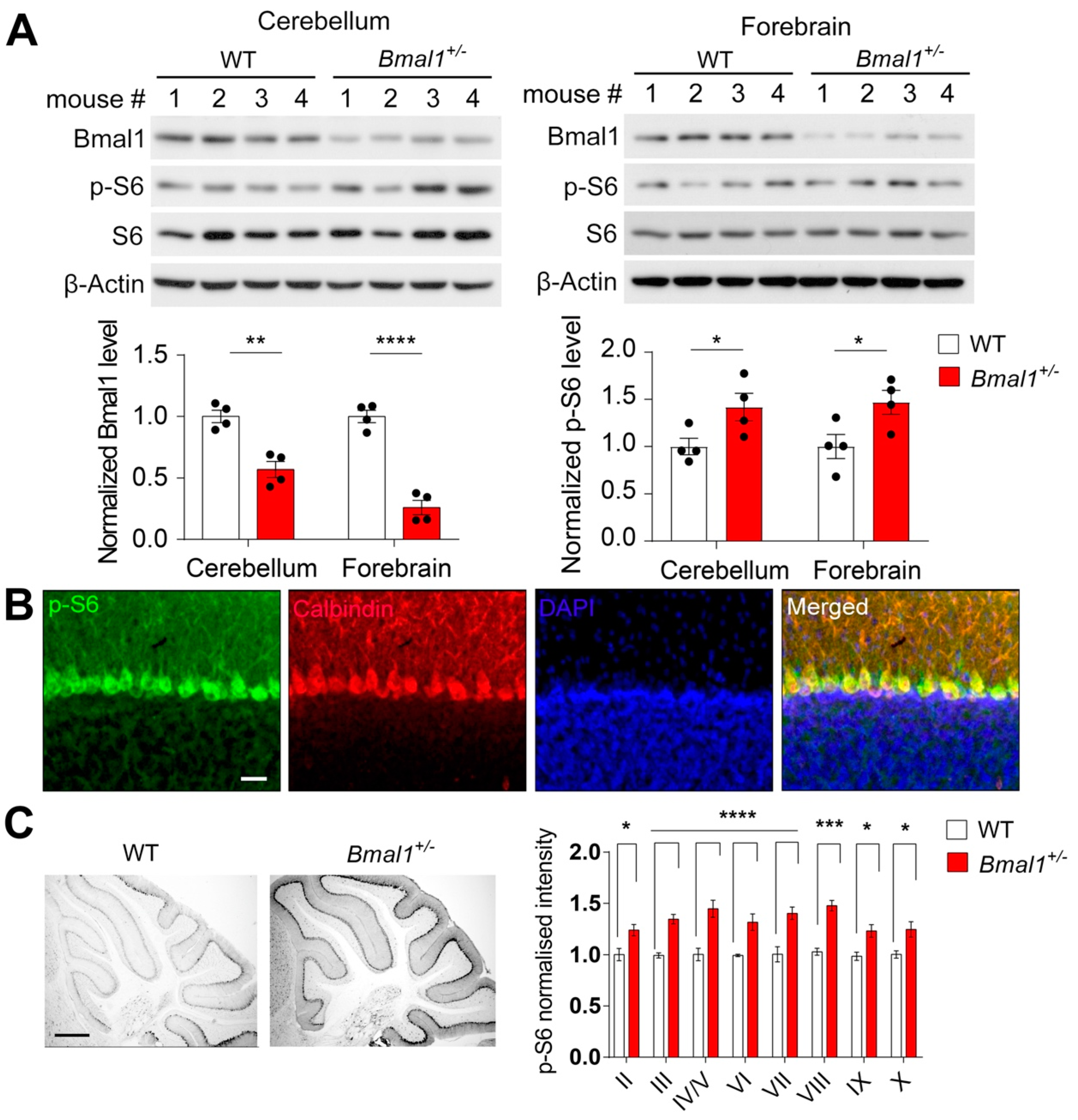 Ijms 23 06317 g001 550