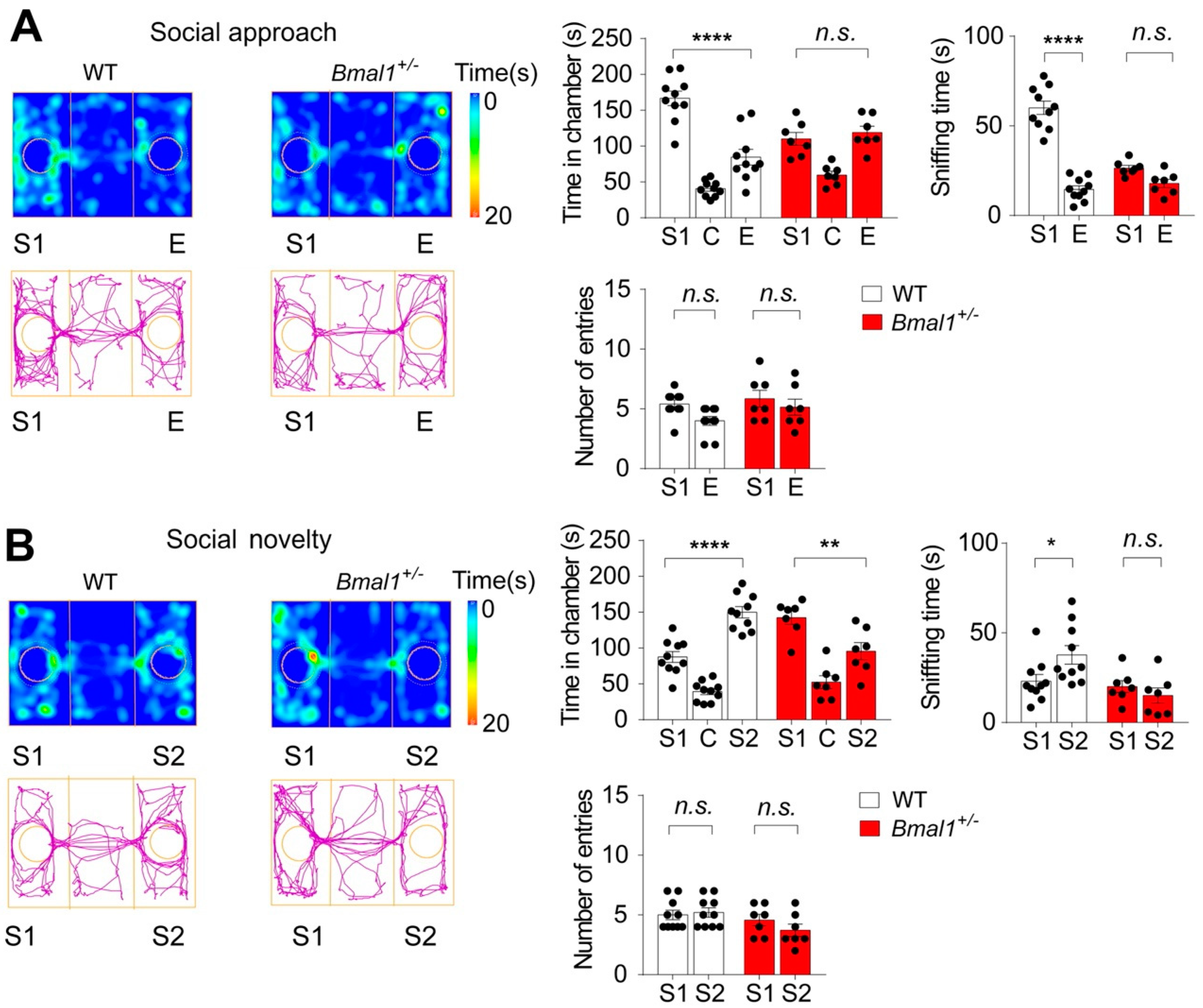 Ijms 23 06317 g003 550