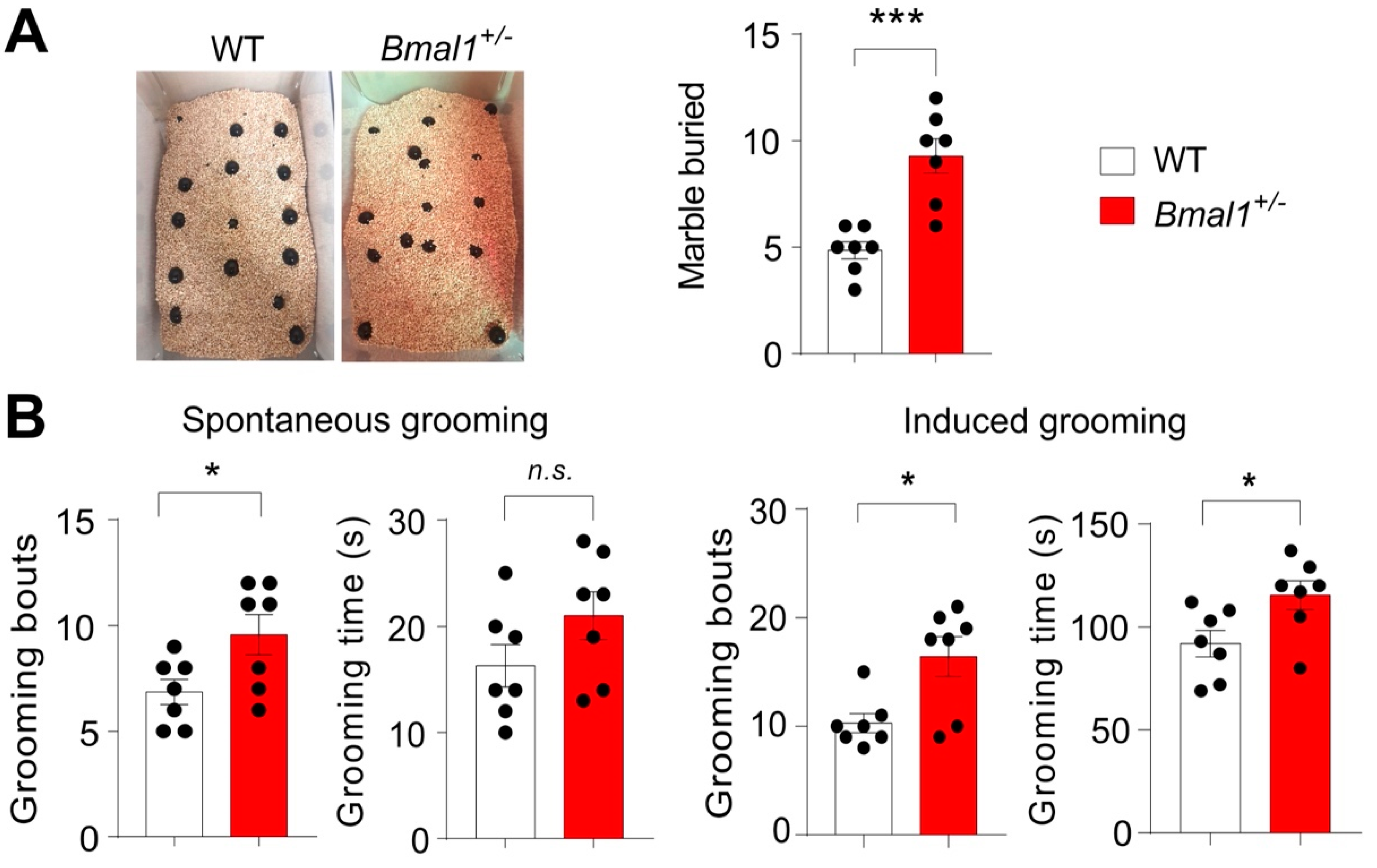 Ijms 23 06317 g004 550