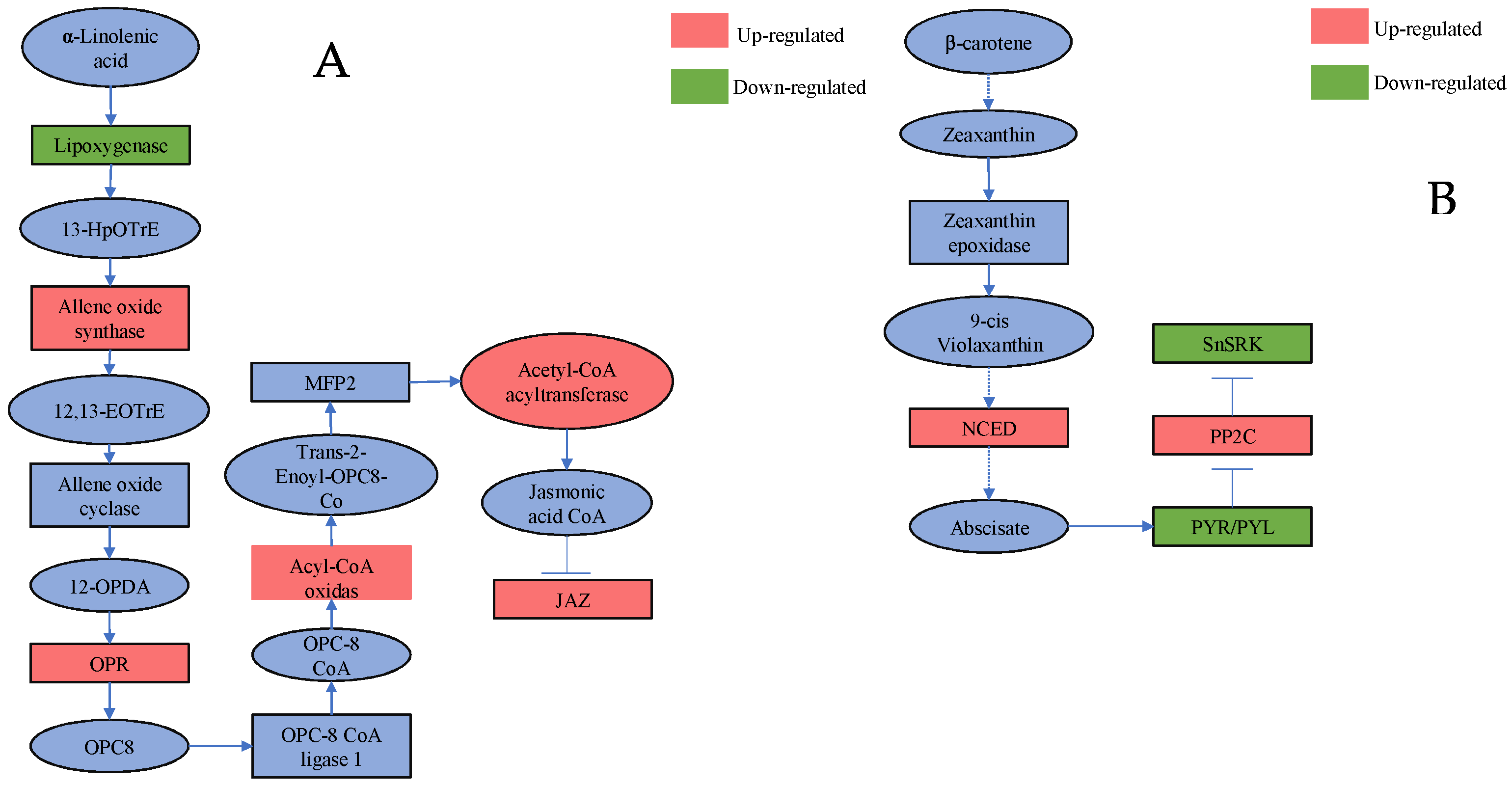 Ijms 23 06319 g005 550