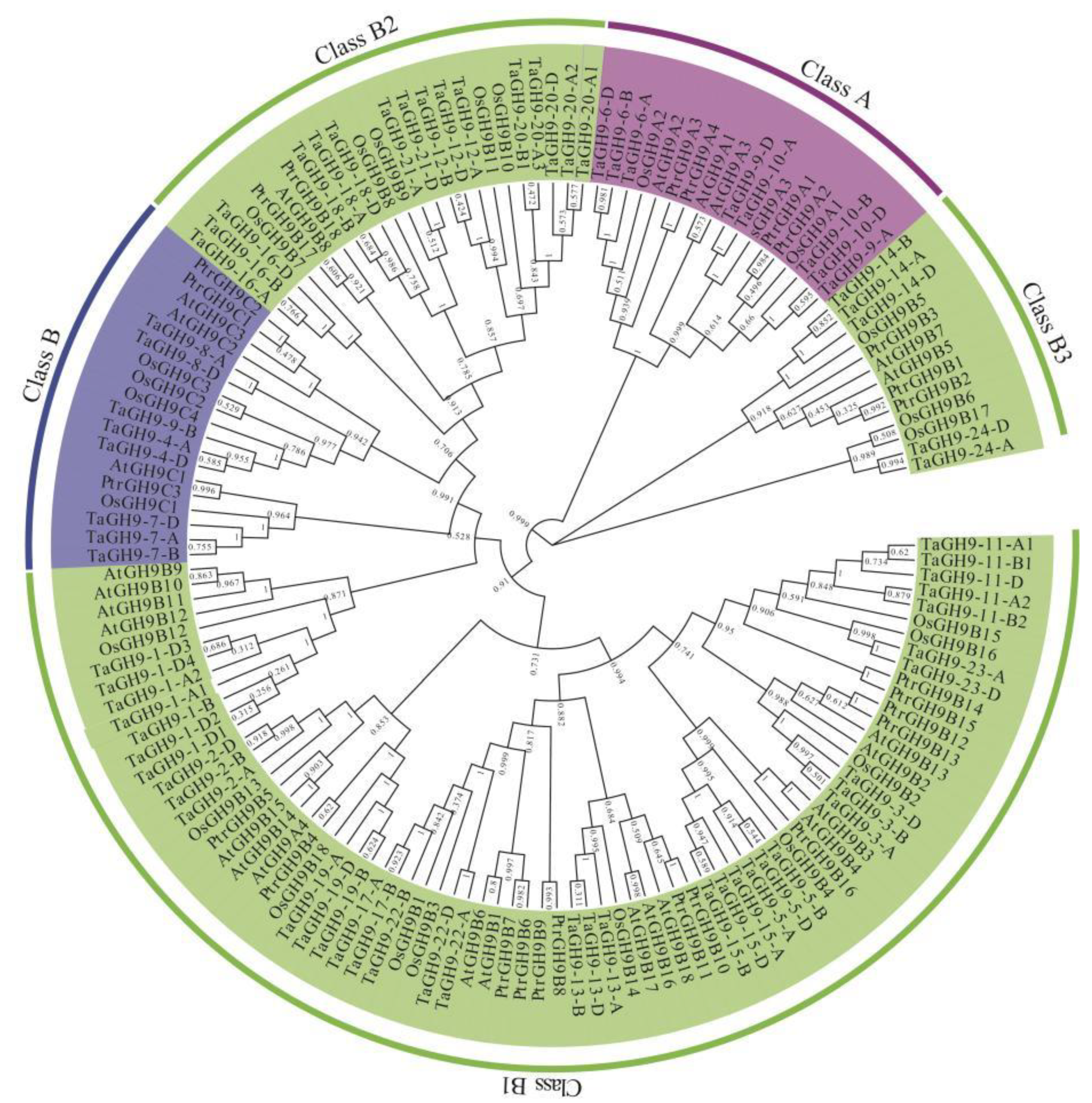 Ijms 23 06324 g001 550