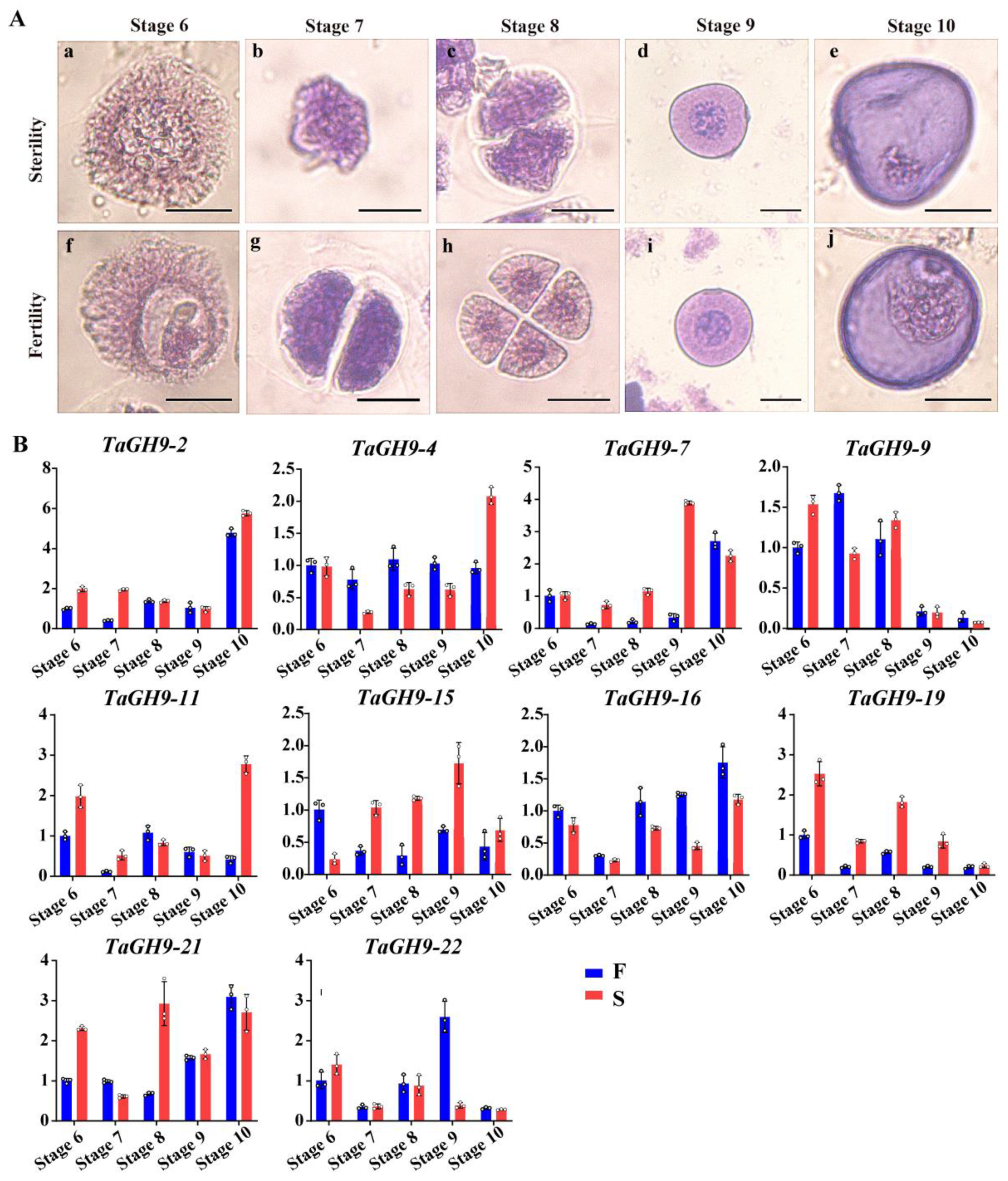 Ijms 23 06324 g005 550