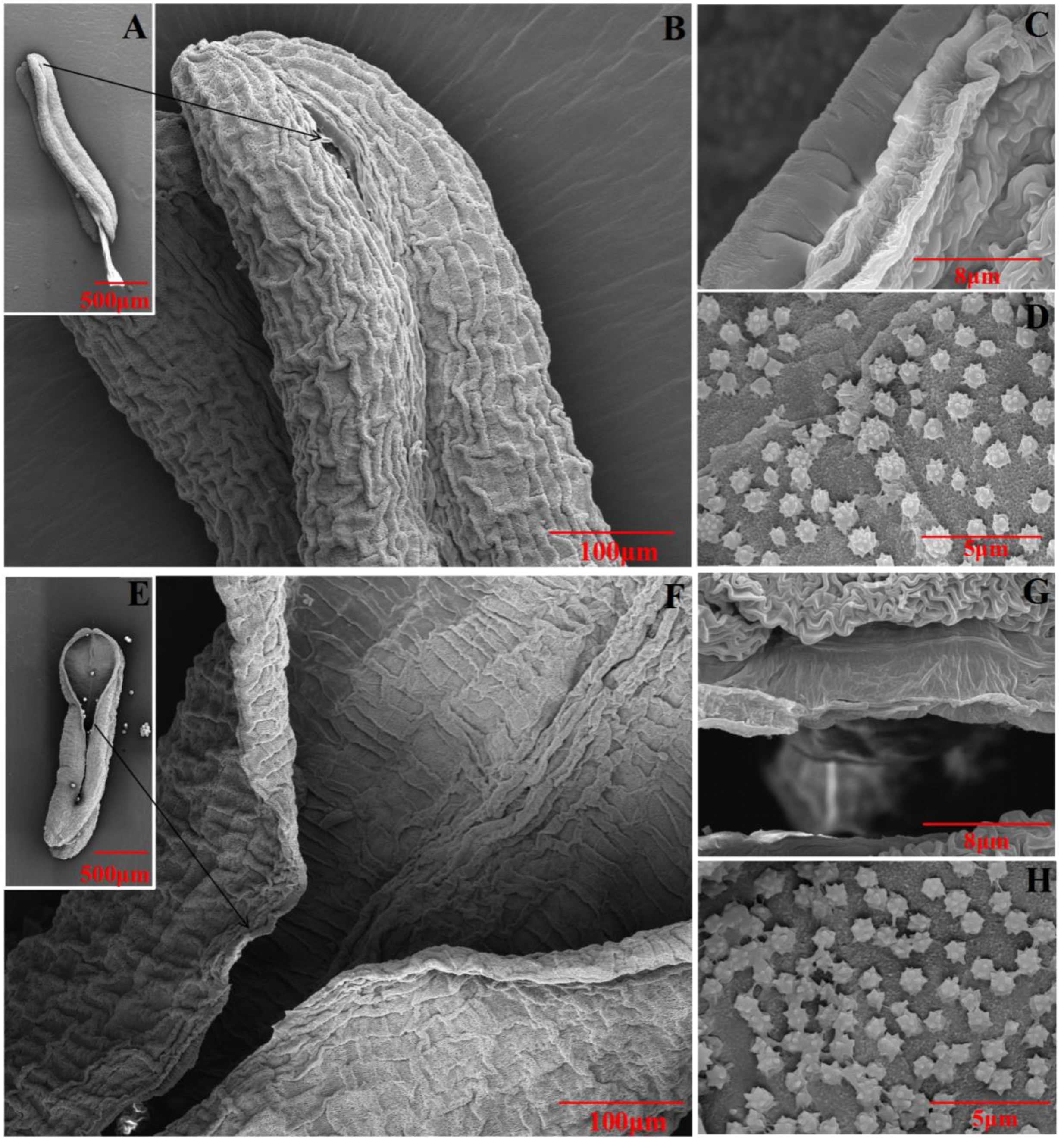 Ijms 23 06324 g007 550