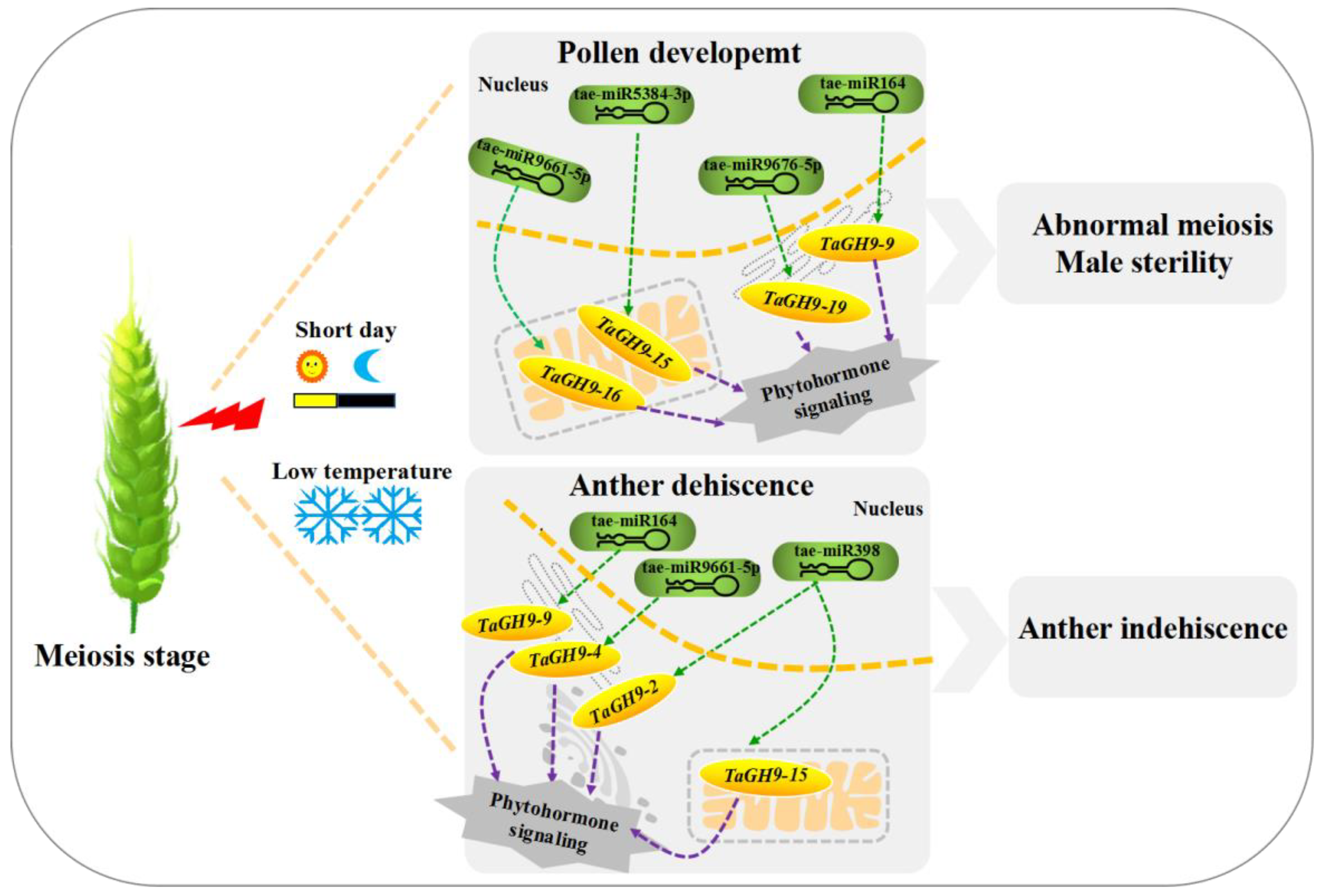 Ijms 23 06324 g009 550