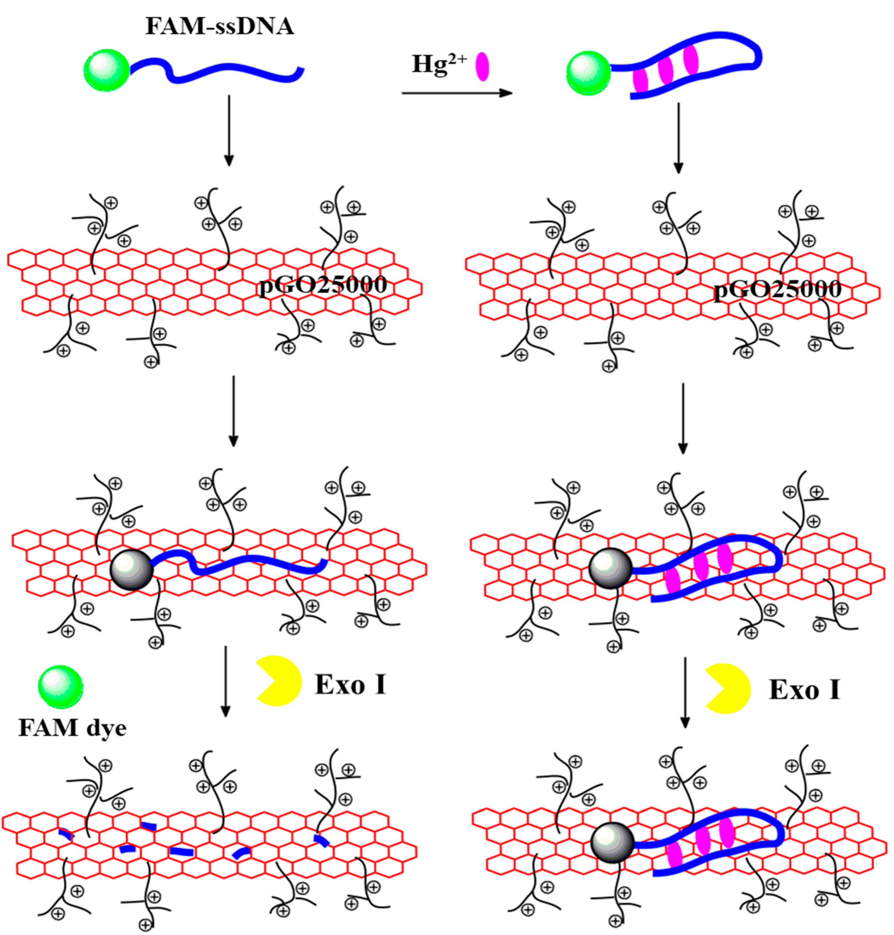 Ijms 23 06326 sch001