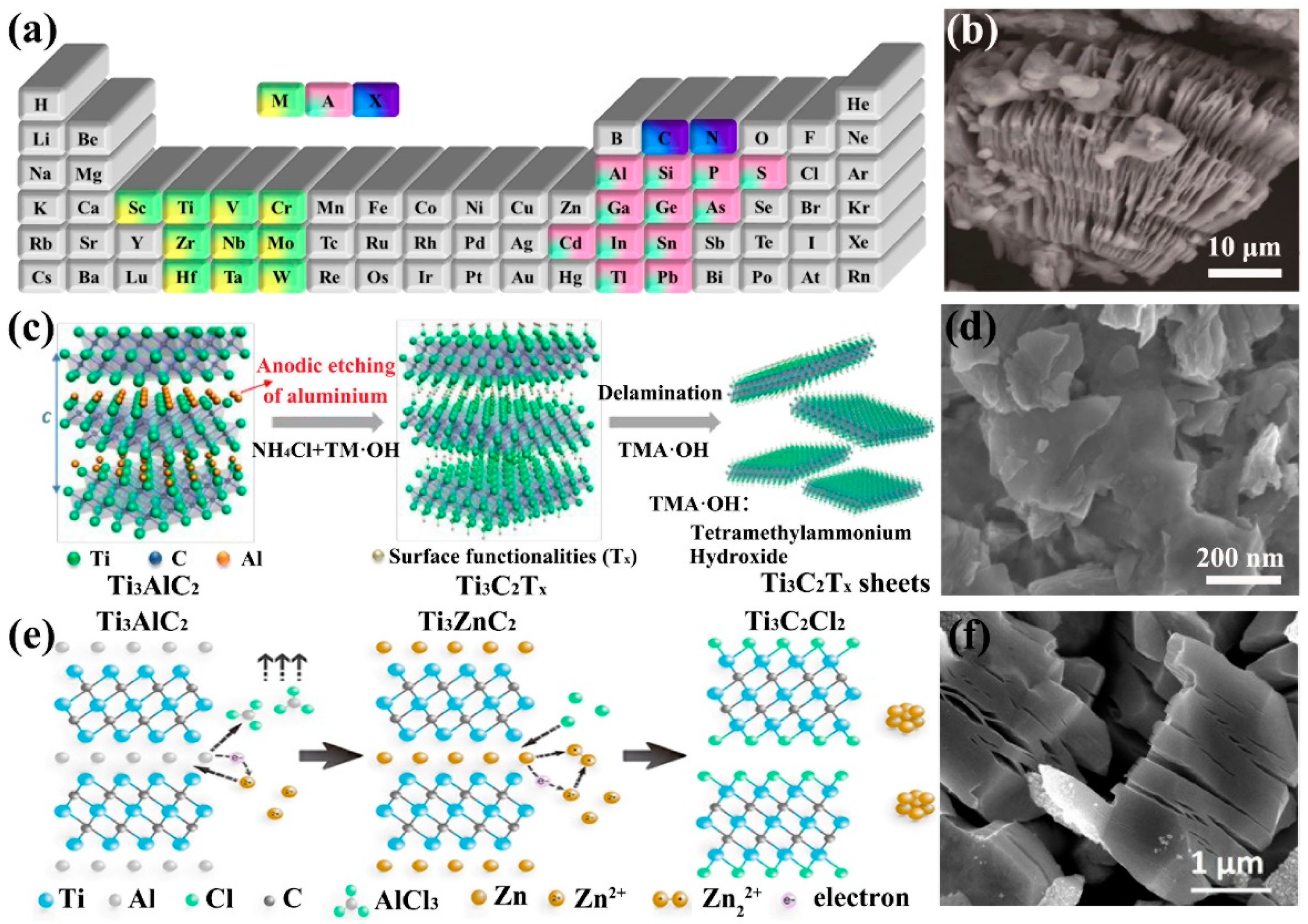 Ijms 23 06329 g002 550