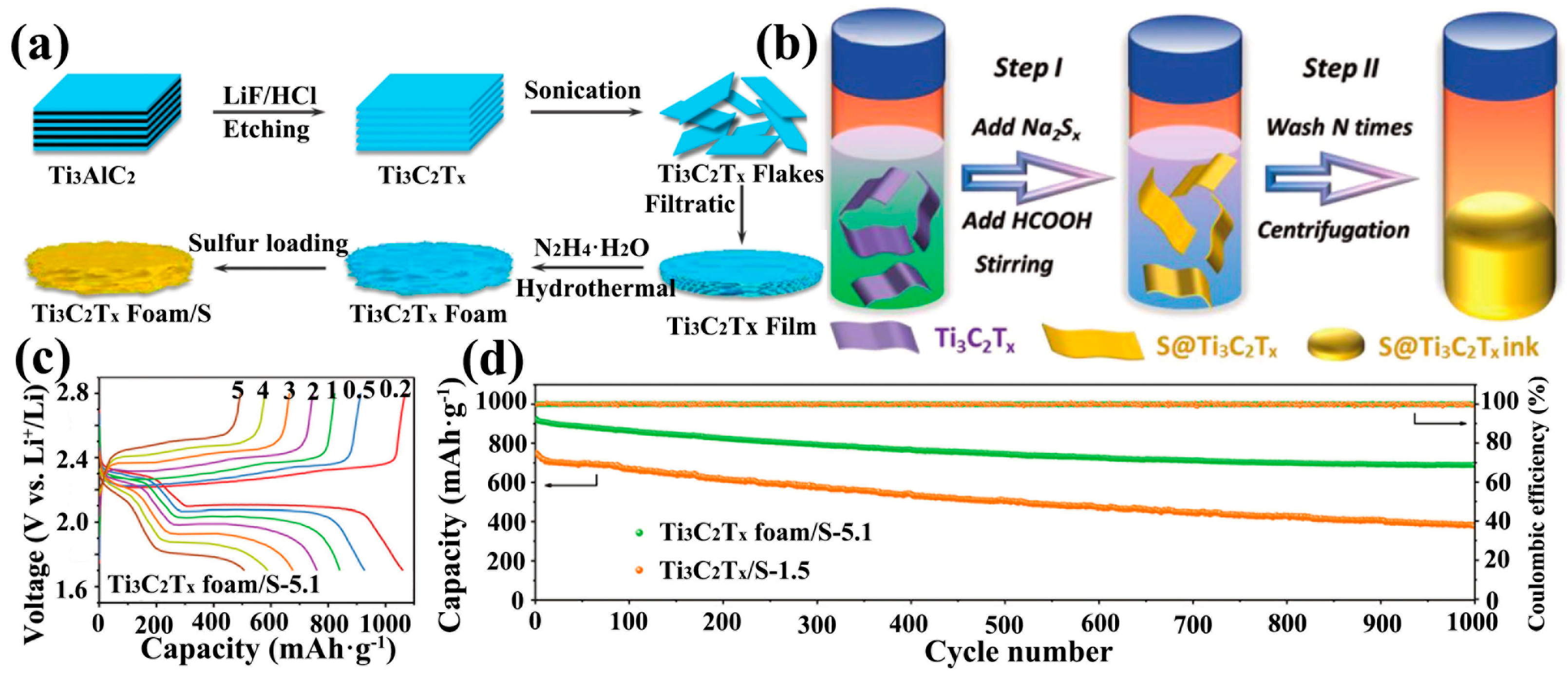 Ijms 23 06329 g004 550