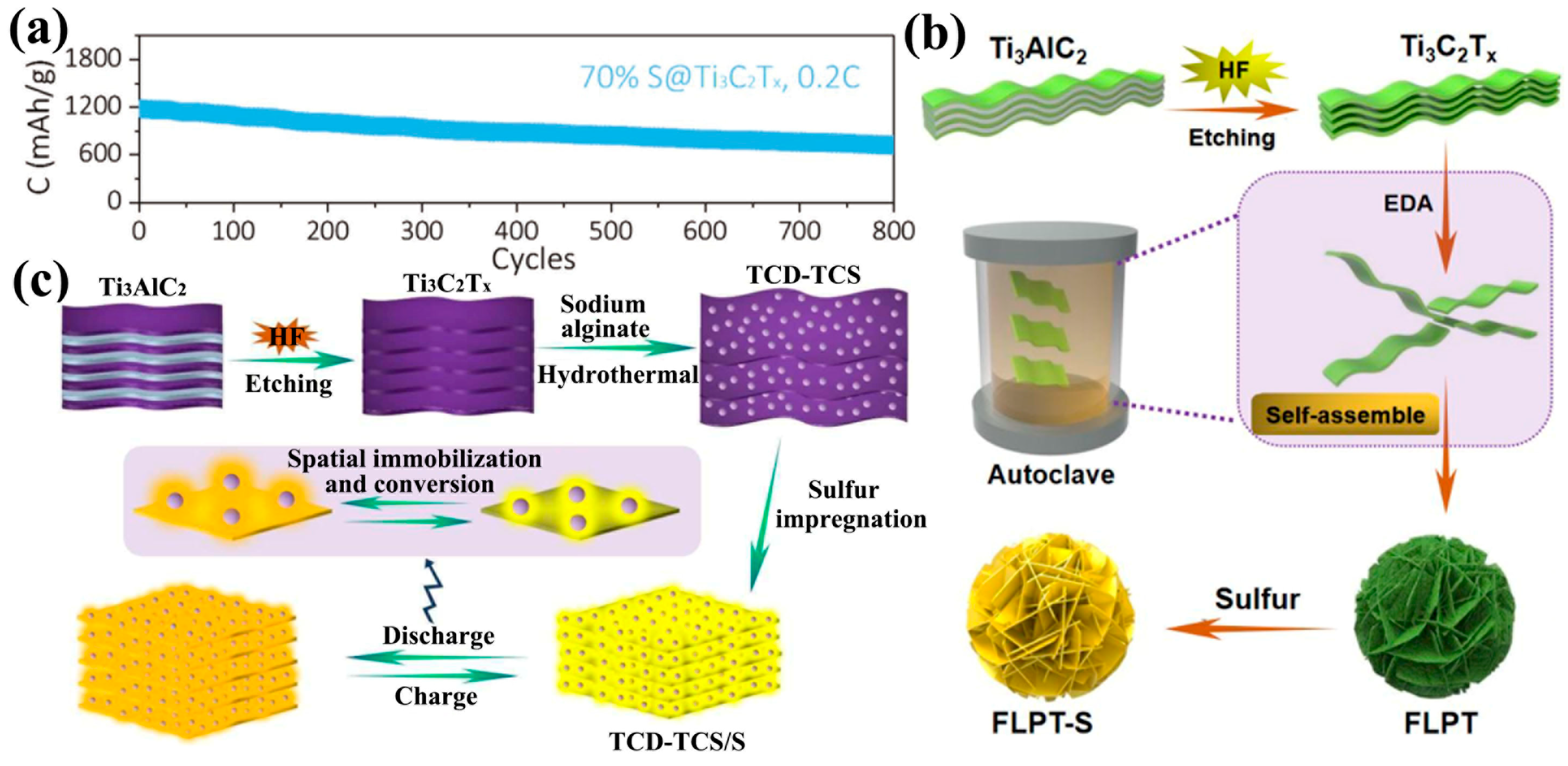 Ijms 23 06329 g005 550