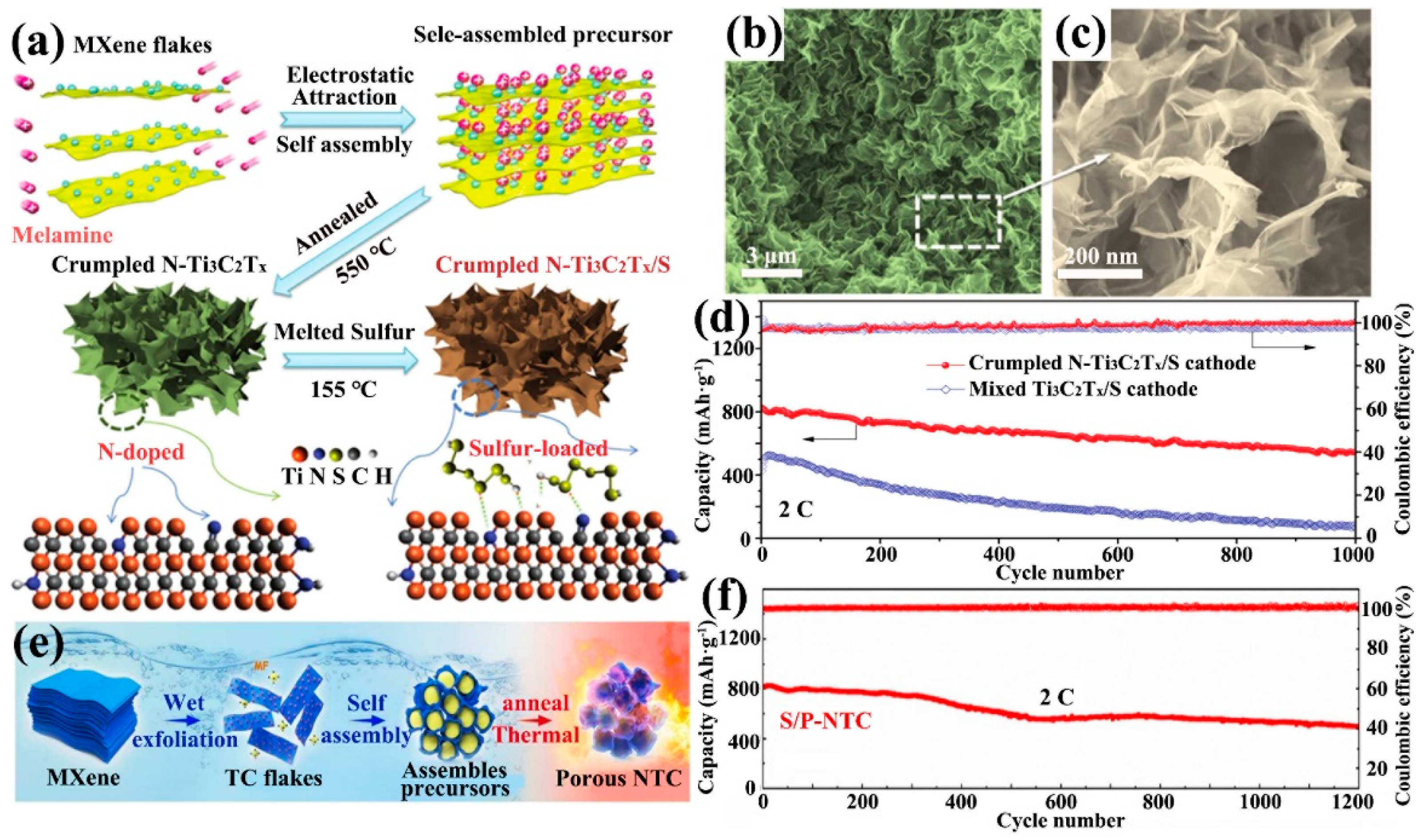 Ijms 23 06329 g006 550