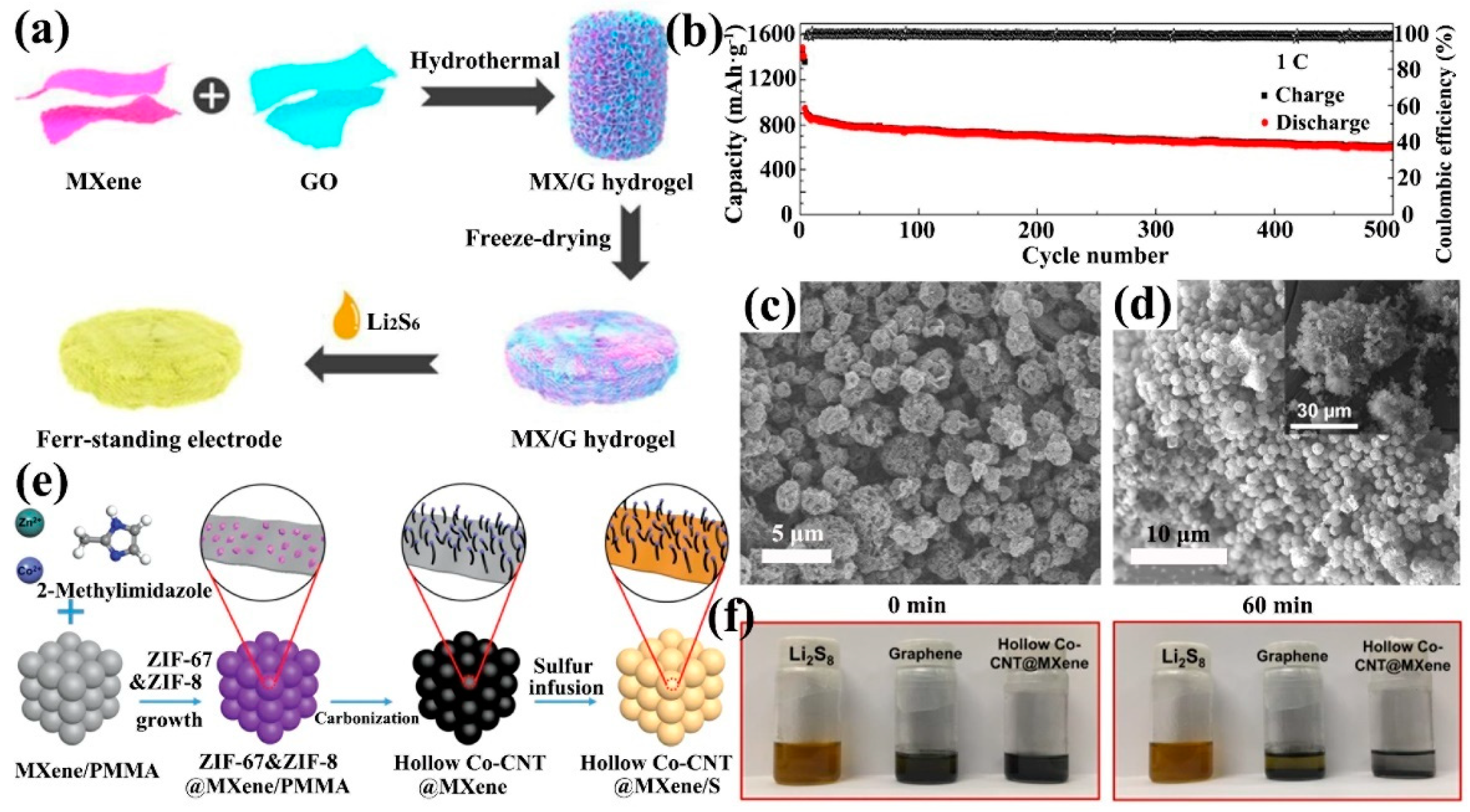 Ijms 23 06329 g008 550