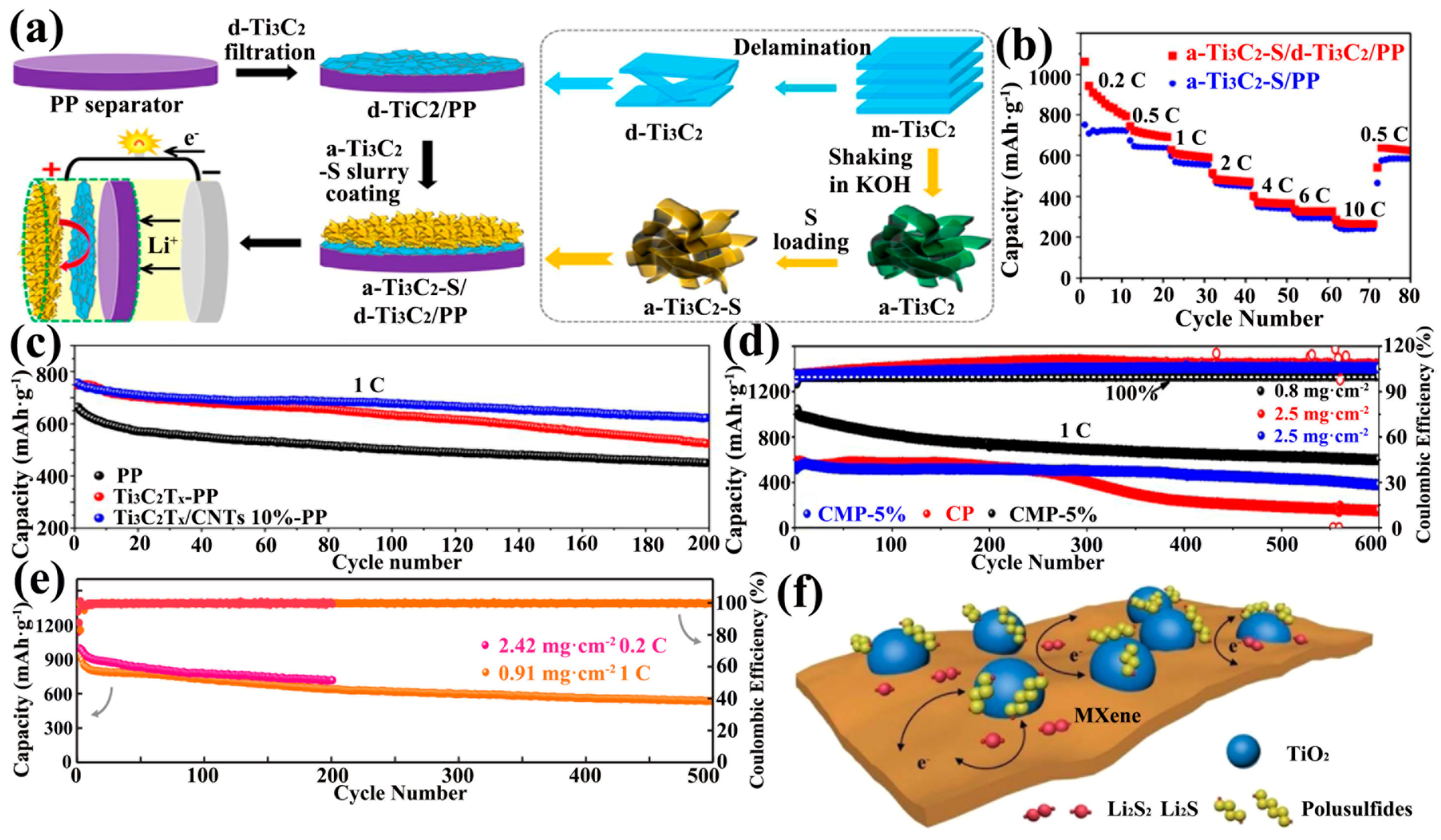 Ijms 23 06329 g010 550