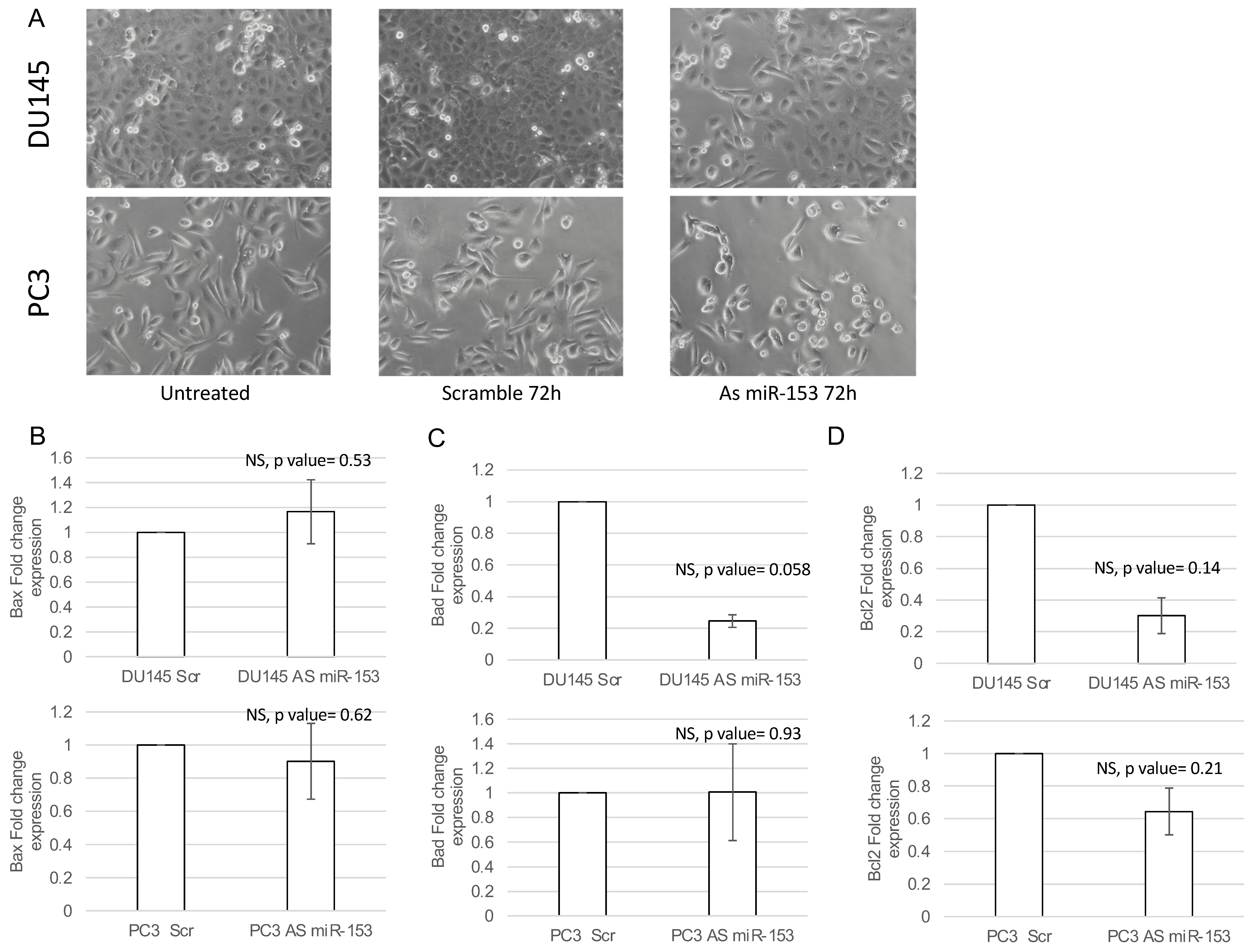 Ijms 23 06339 g005 550