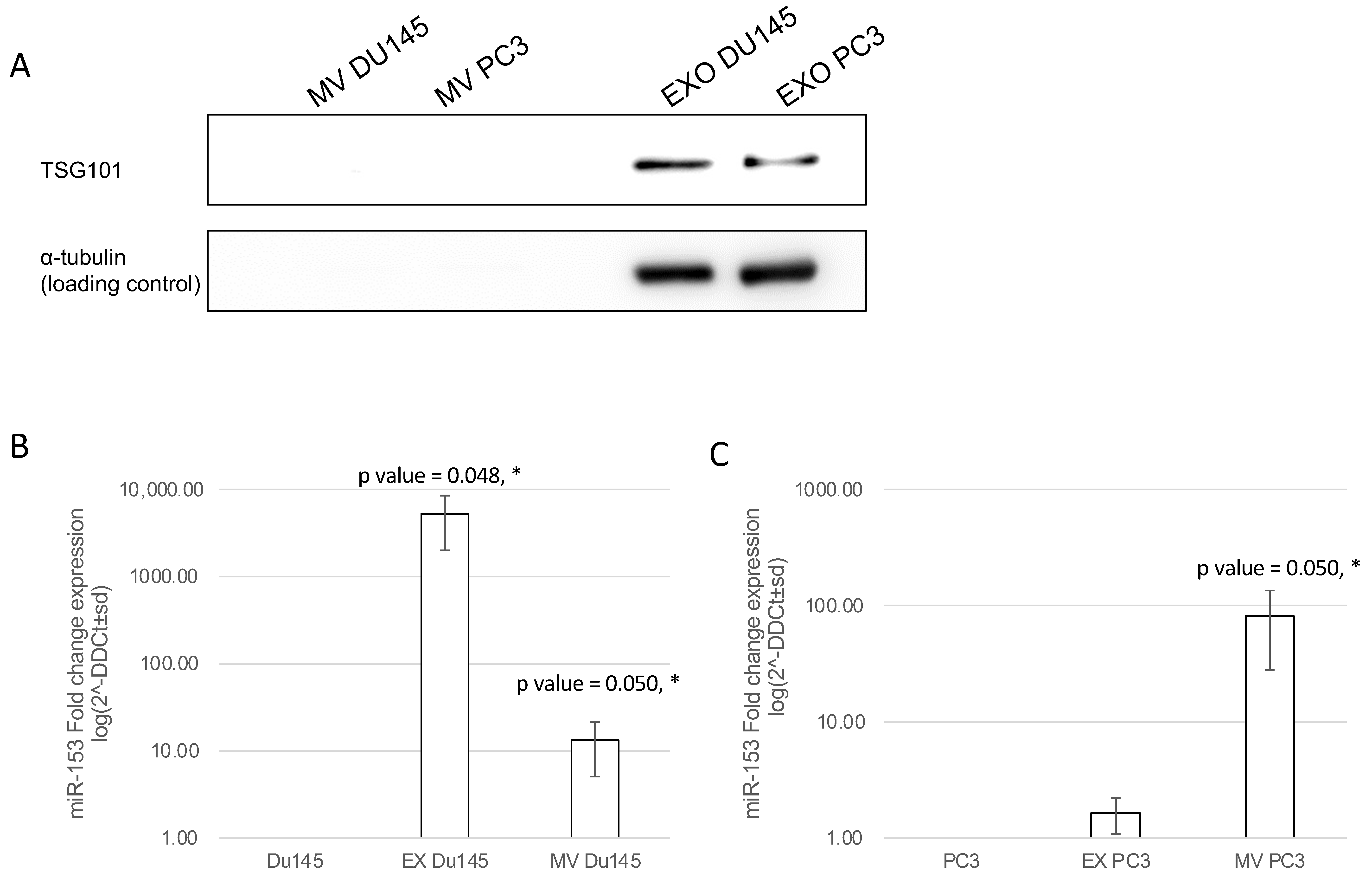 Ijms 23 06339 g009 550