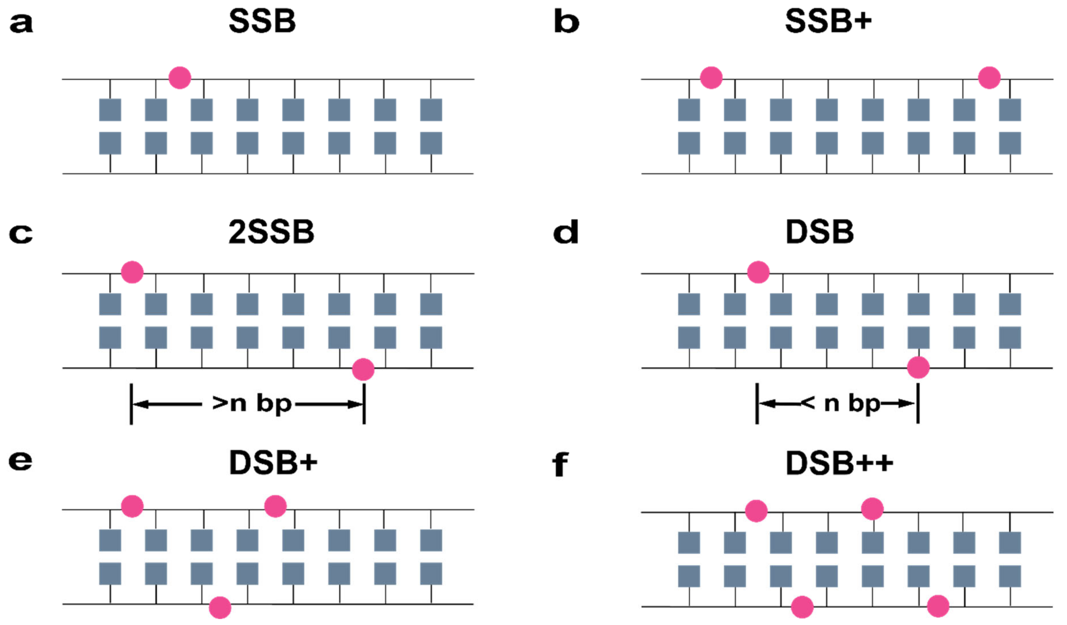Ijms 23 06343 g009 550