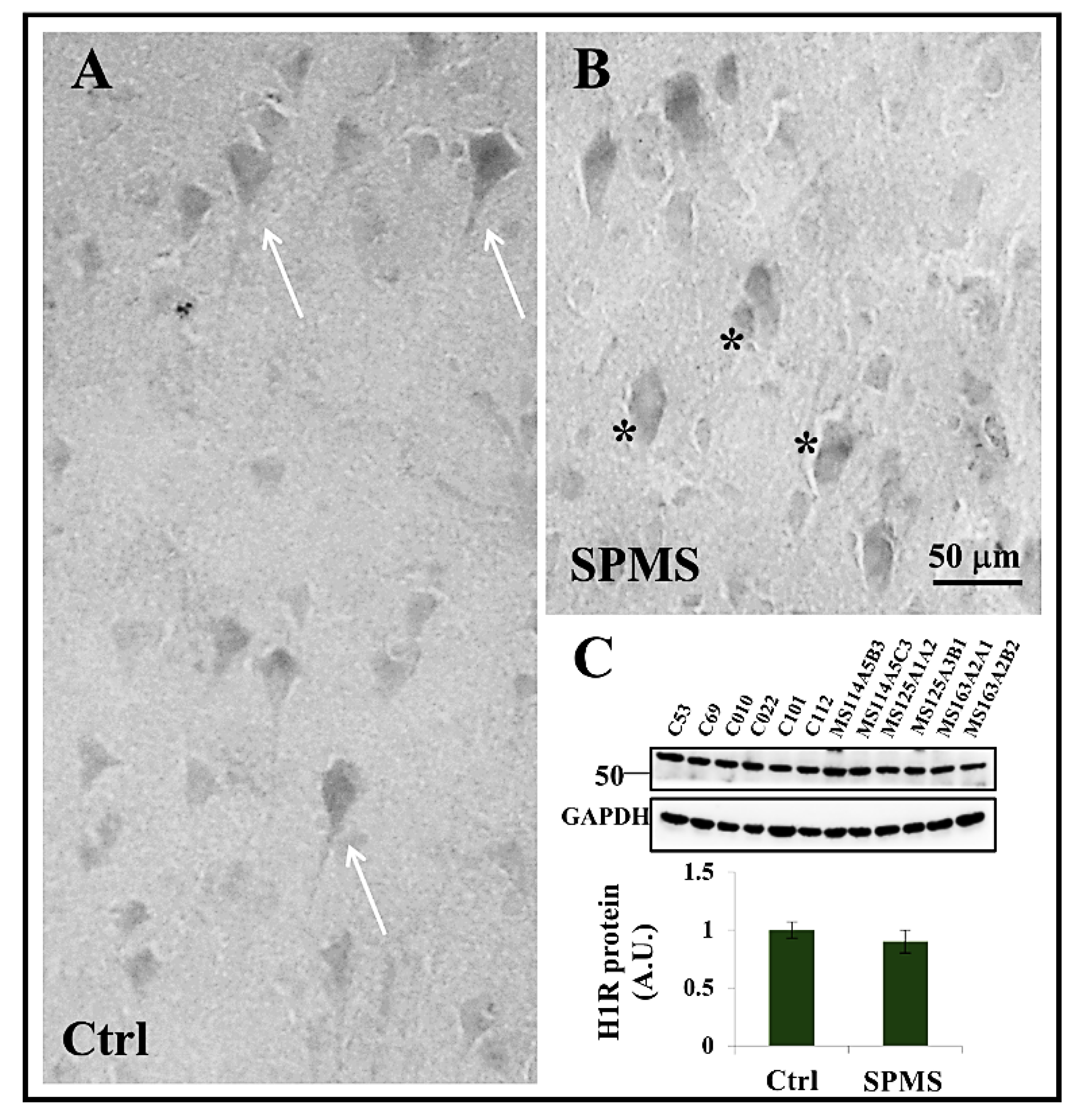 Ijms 23 06347 g004 550