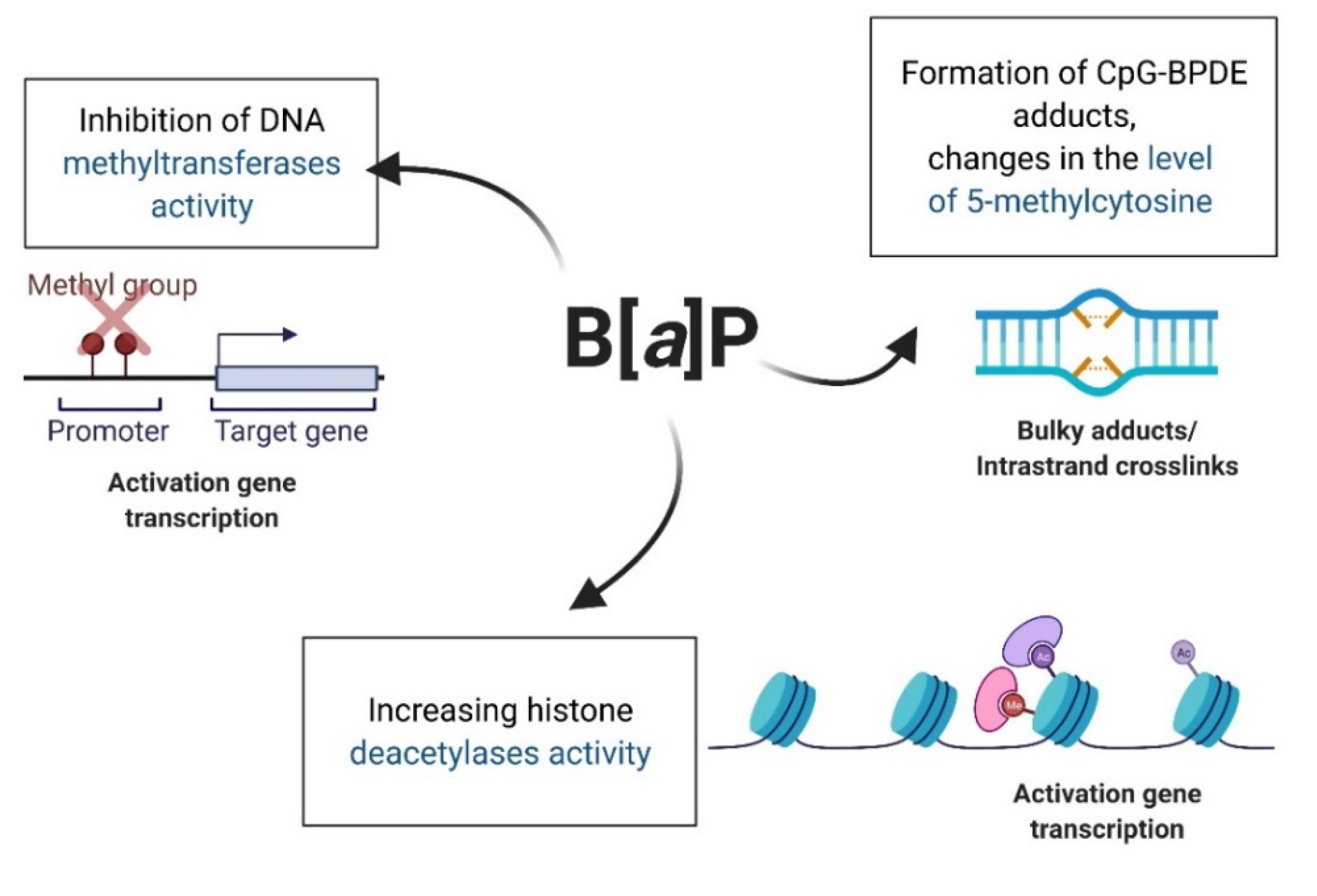 Ijms 23 06348 g008 Ijms 23 06348 g008