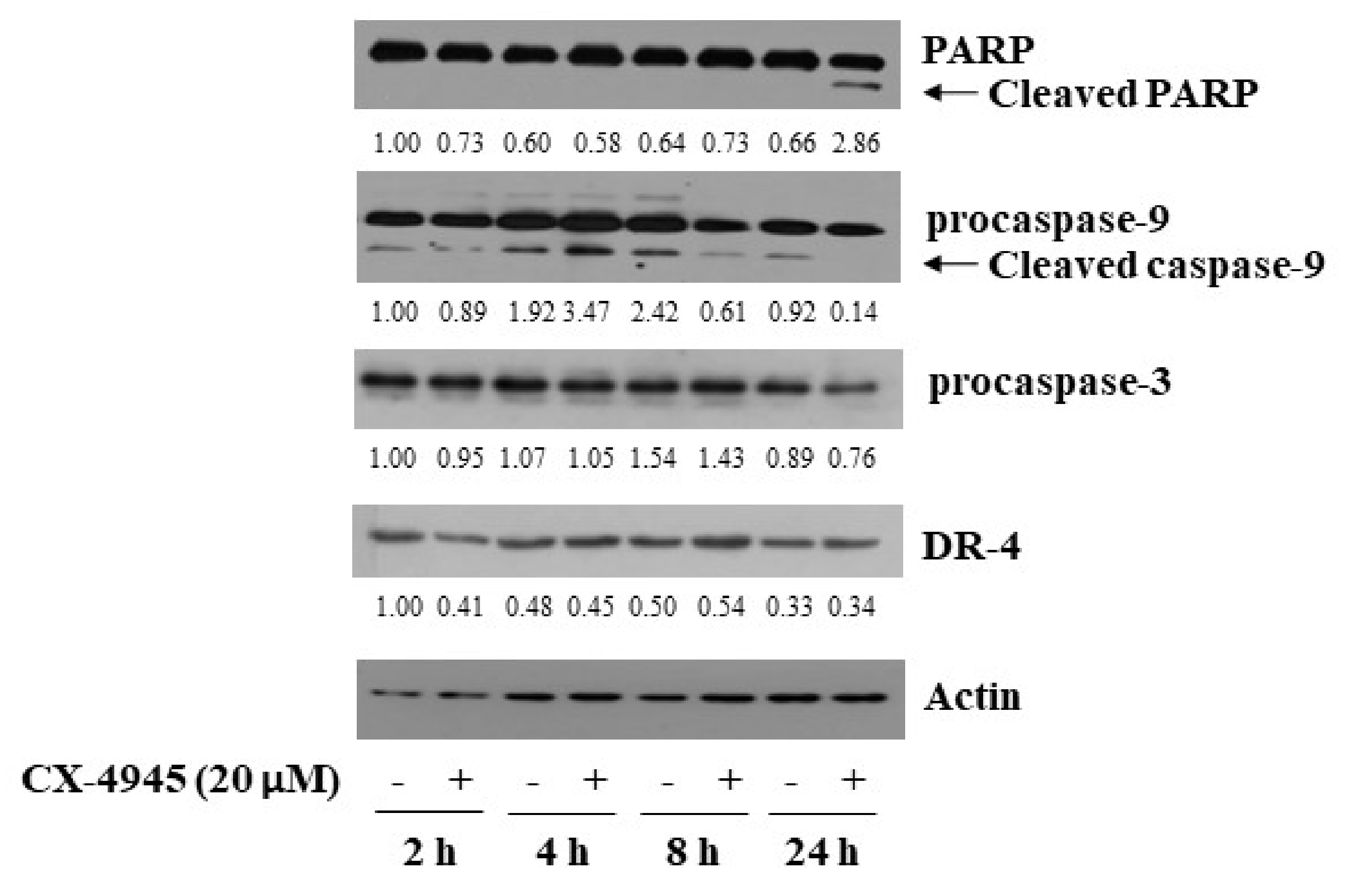 Ijms 23 06353 g002 550