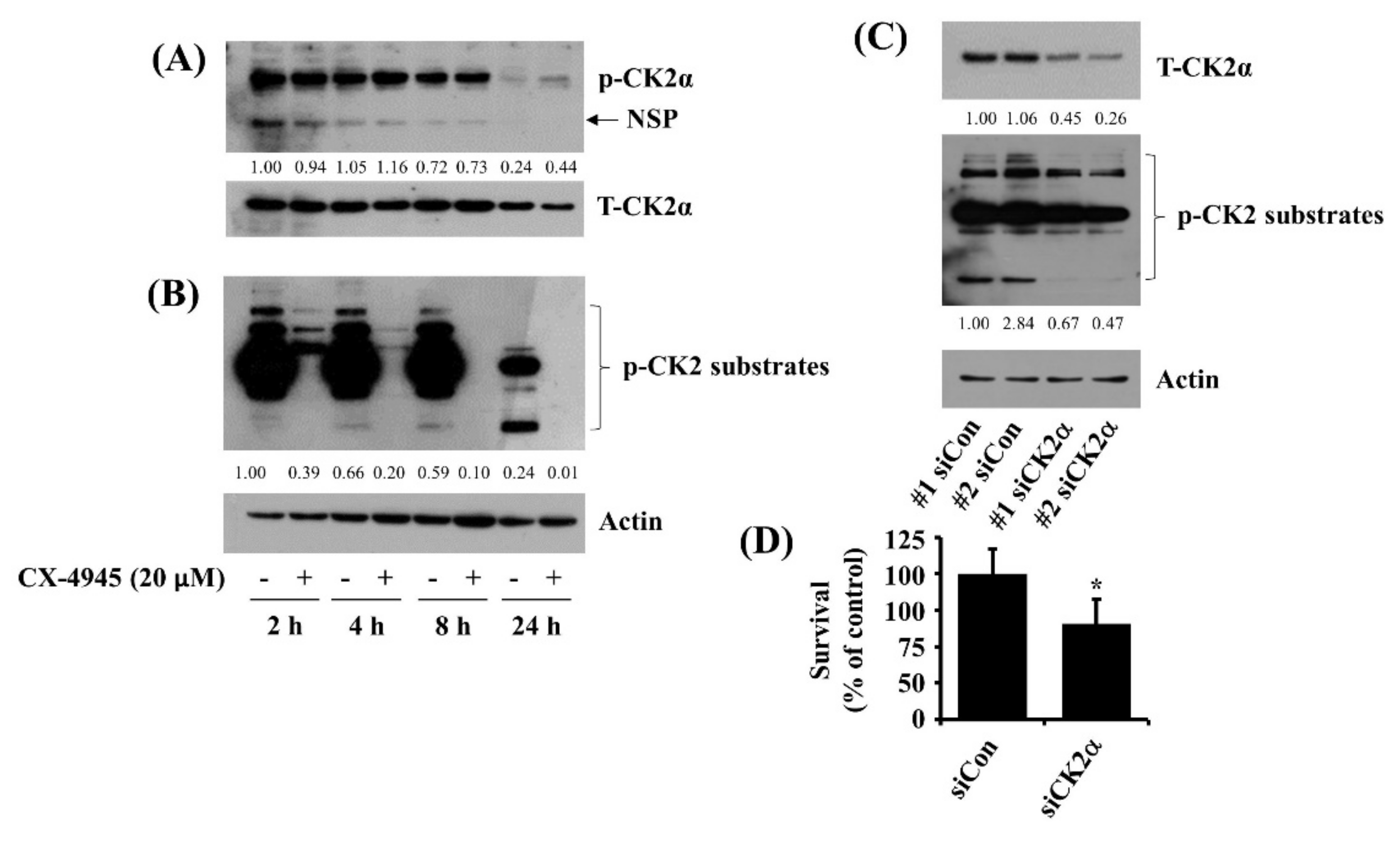 Ijms 23 06353 g003 550