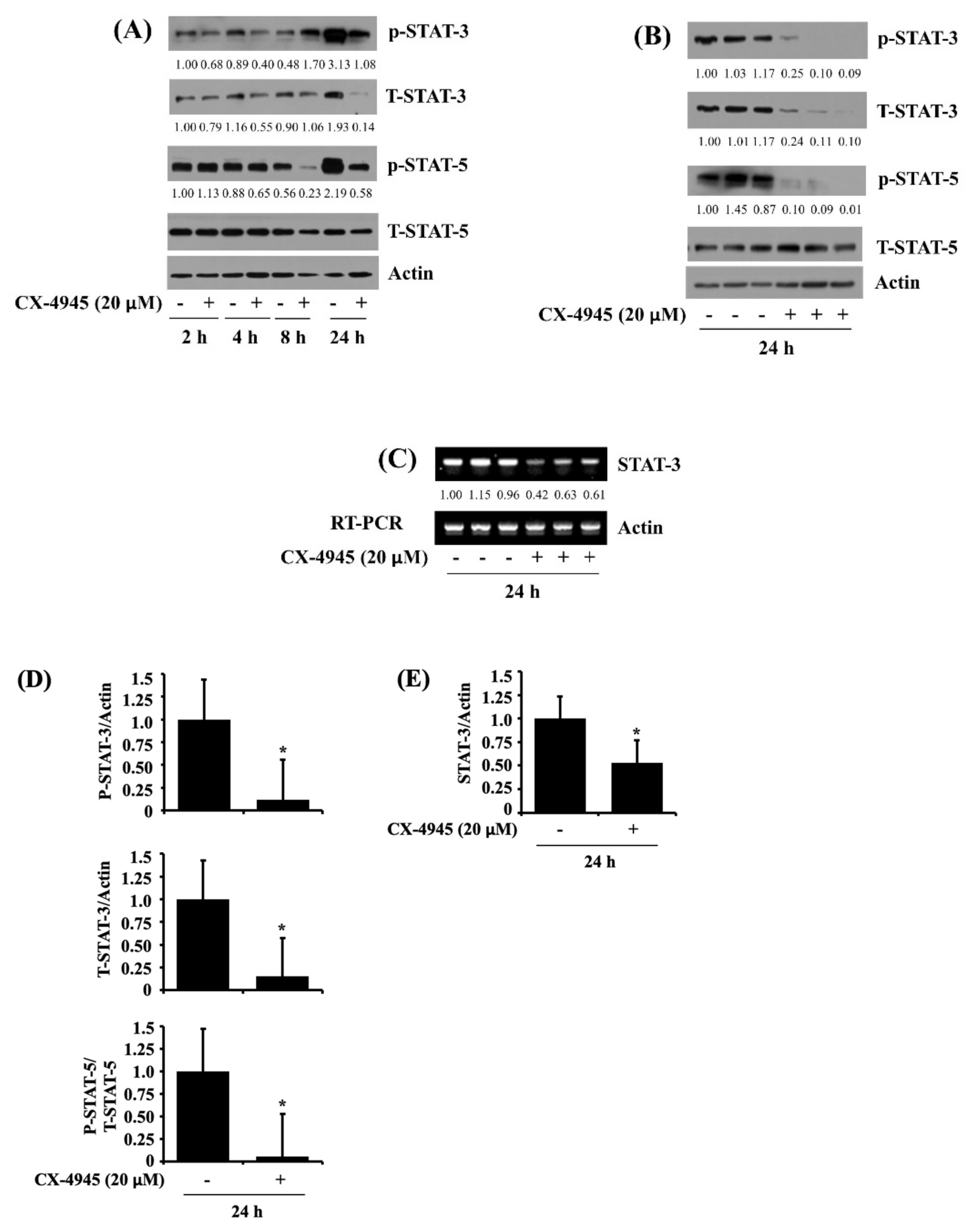 Ijms 23 06353 g004 550