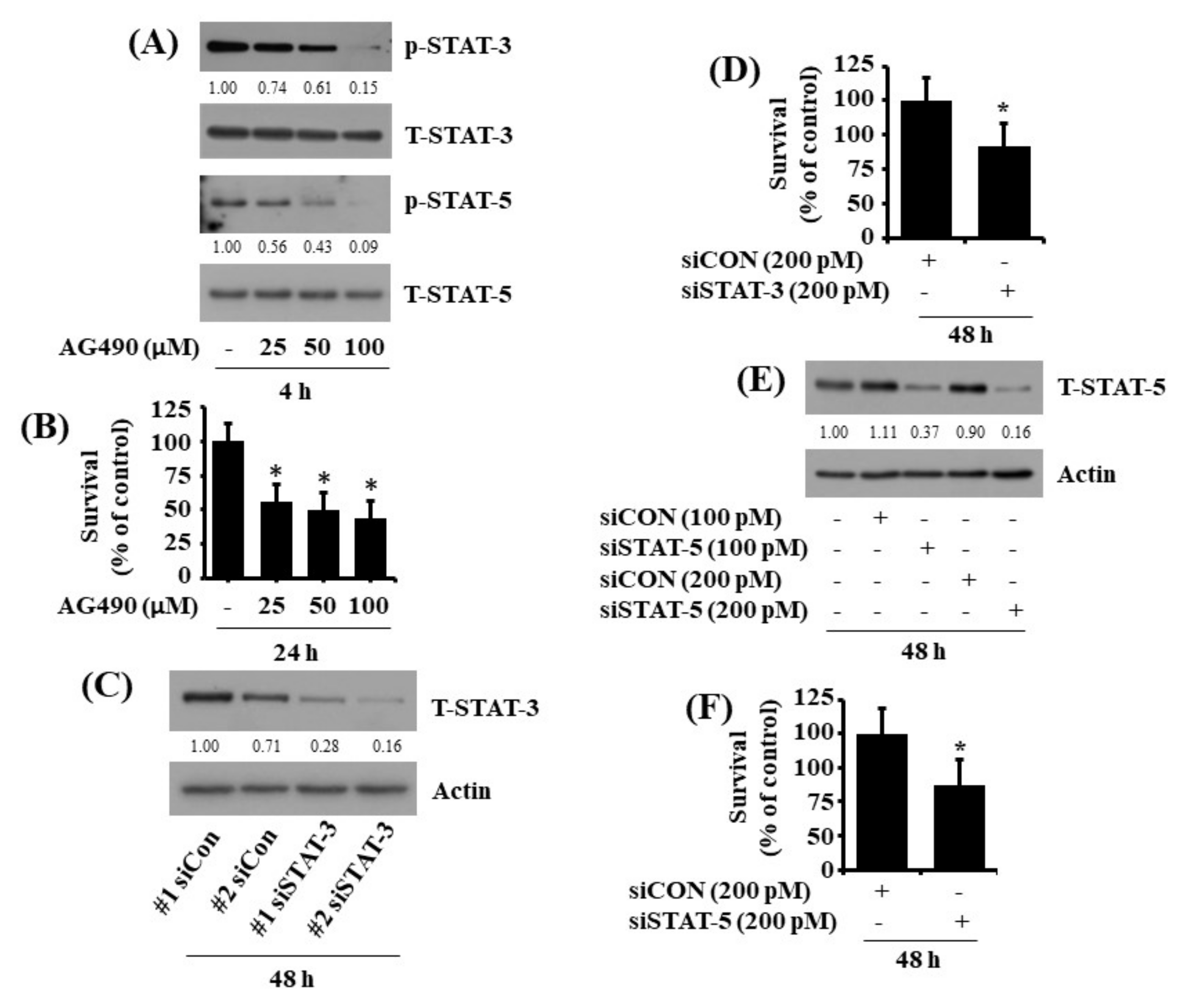 Ijms 23 06353 g005 550