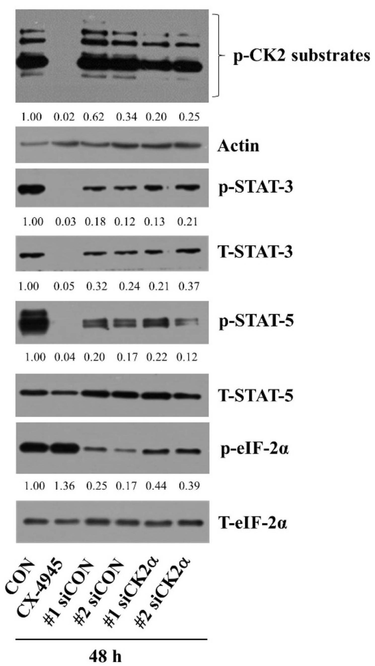 Ijms 23 06353 g007 550