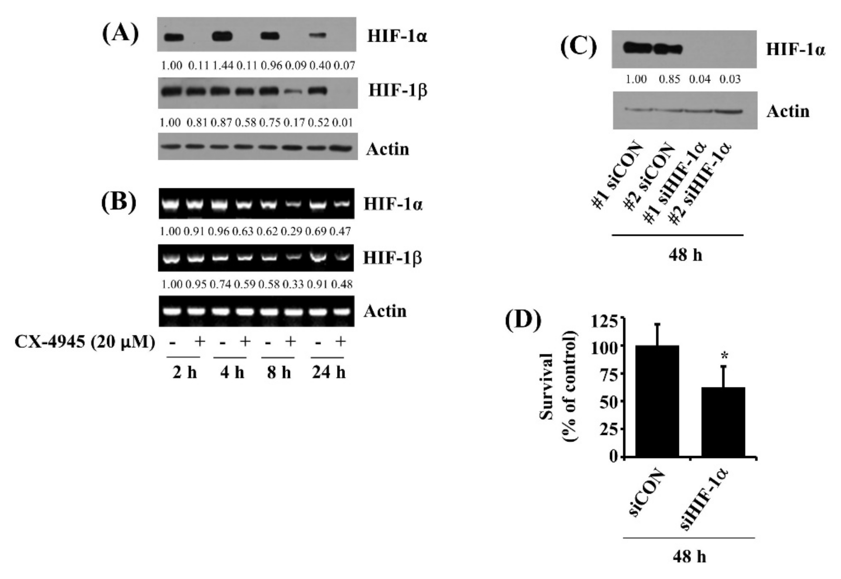 Ijms 23 06353 g008 550
