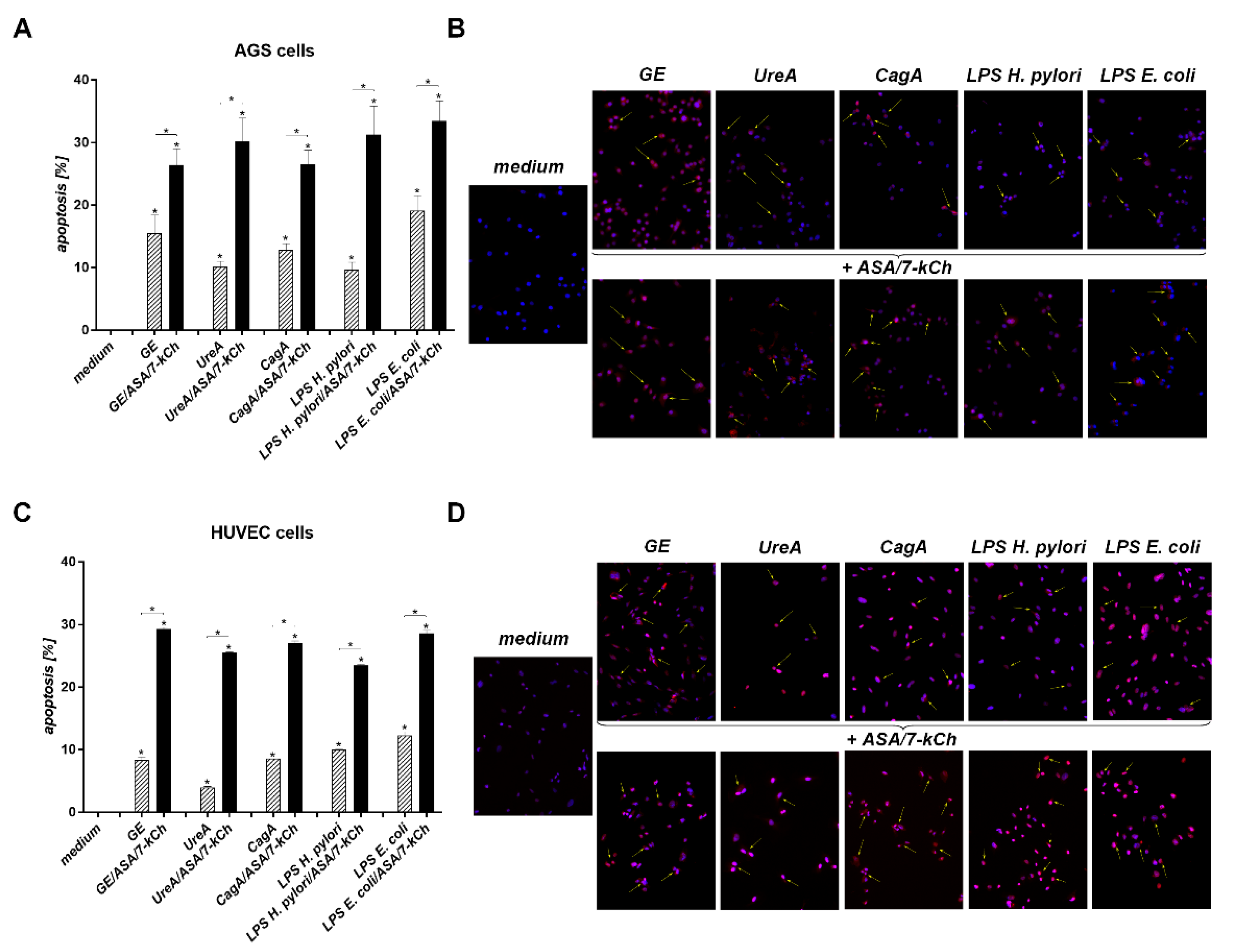 Ijms 23 06355 g003 550