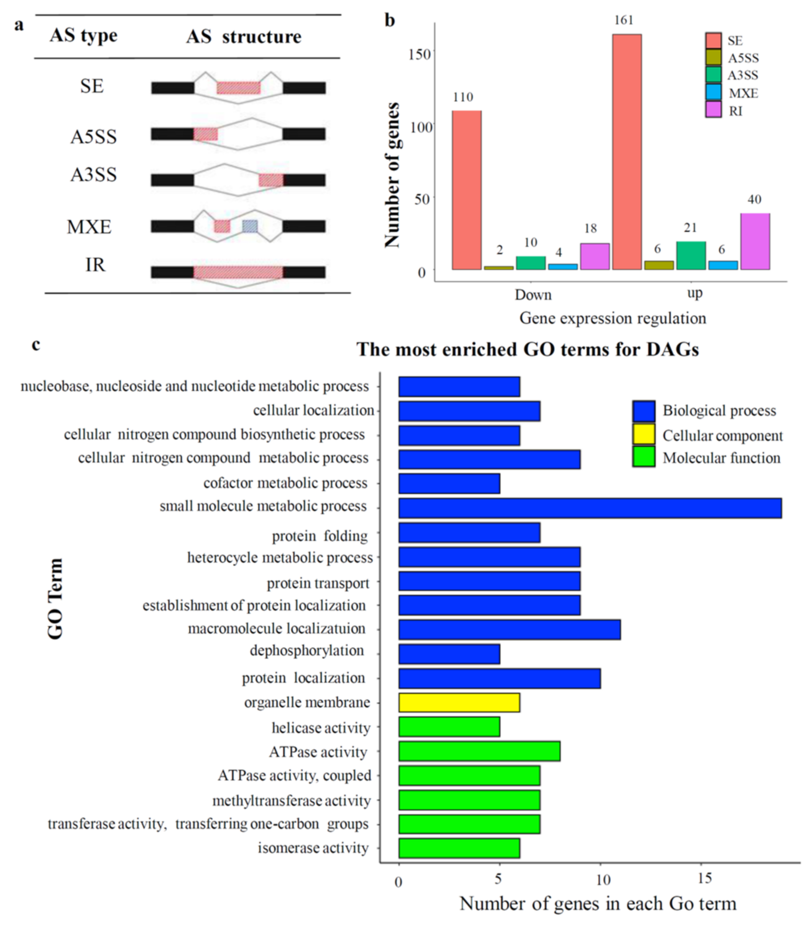 Ijms 23 06357 g011 550