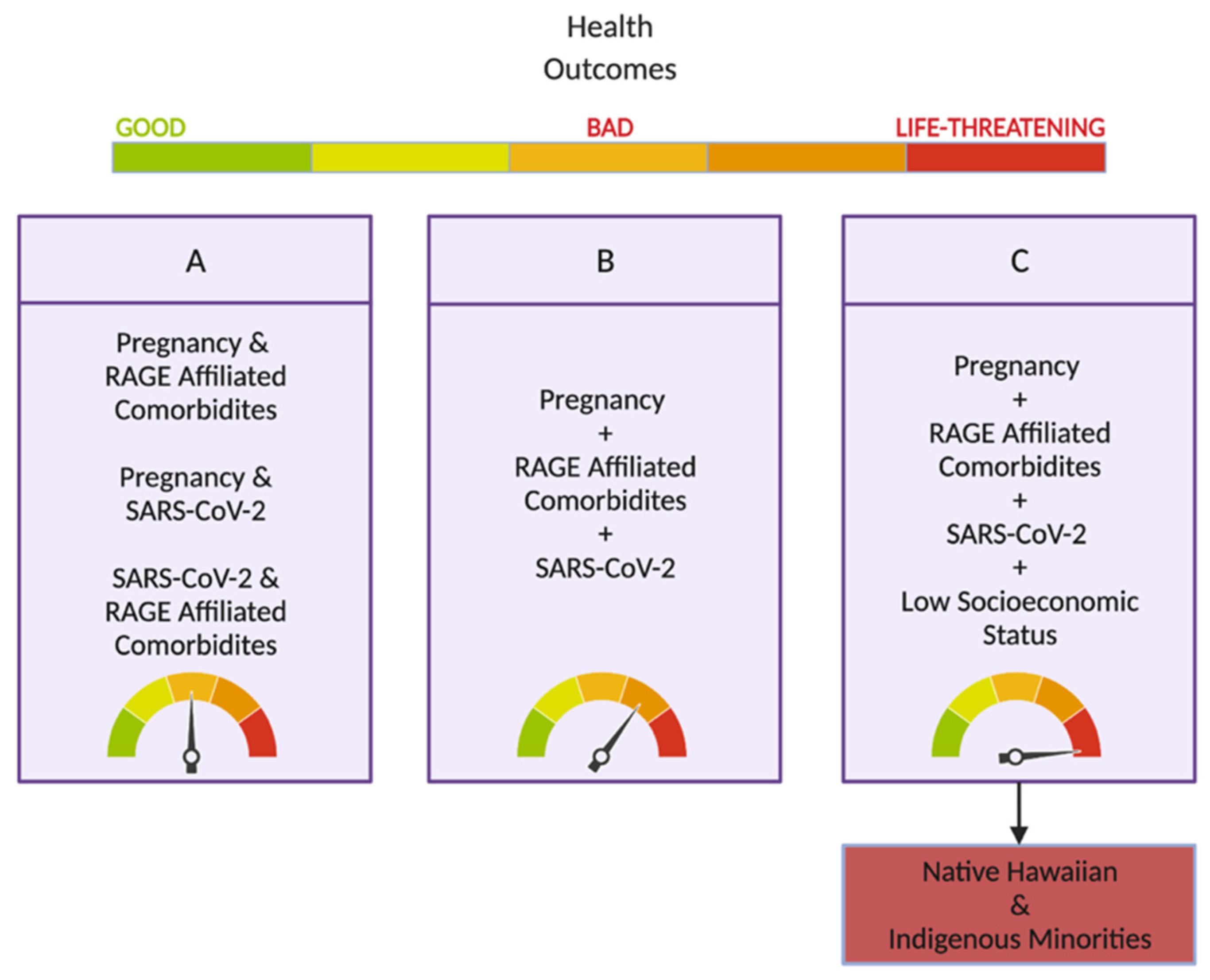 Ijms 23 06359 g001 Ijms 23 06359 g001