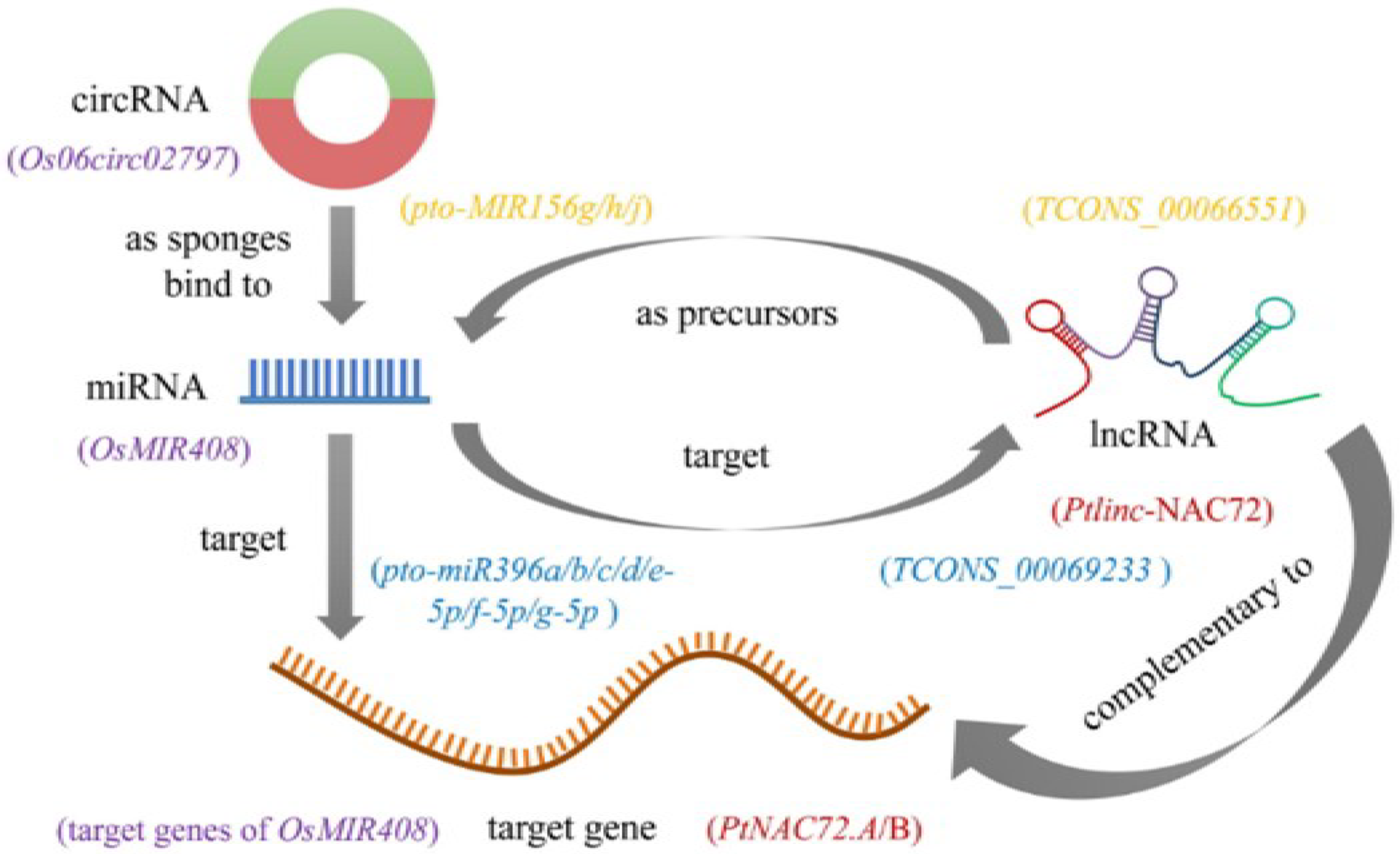 Ijms 23 06365 g002 550