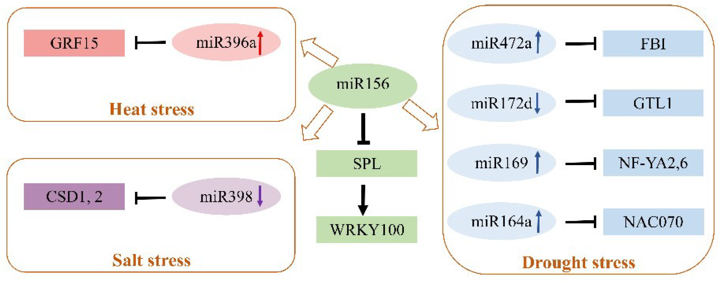 Ijms 23 06365 g003 550