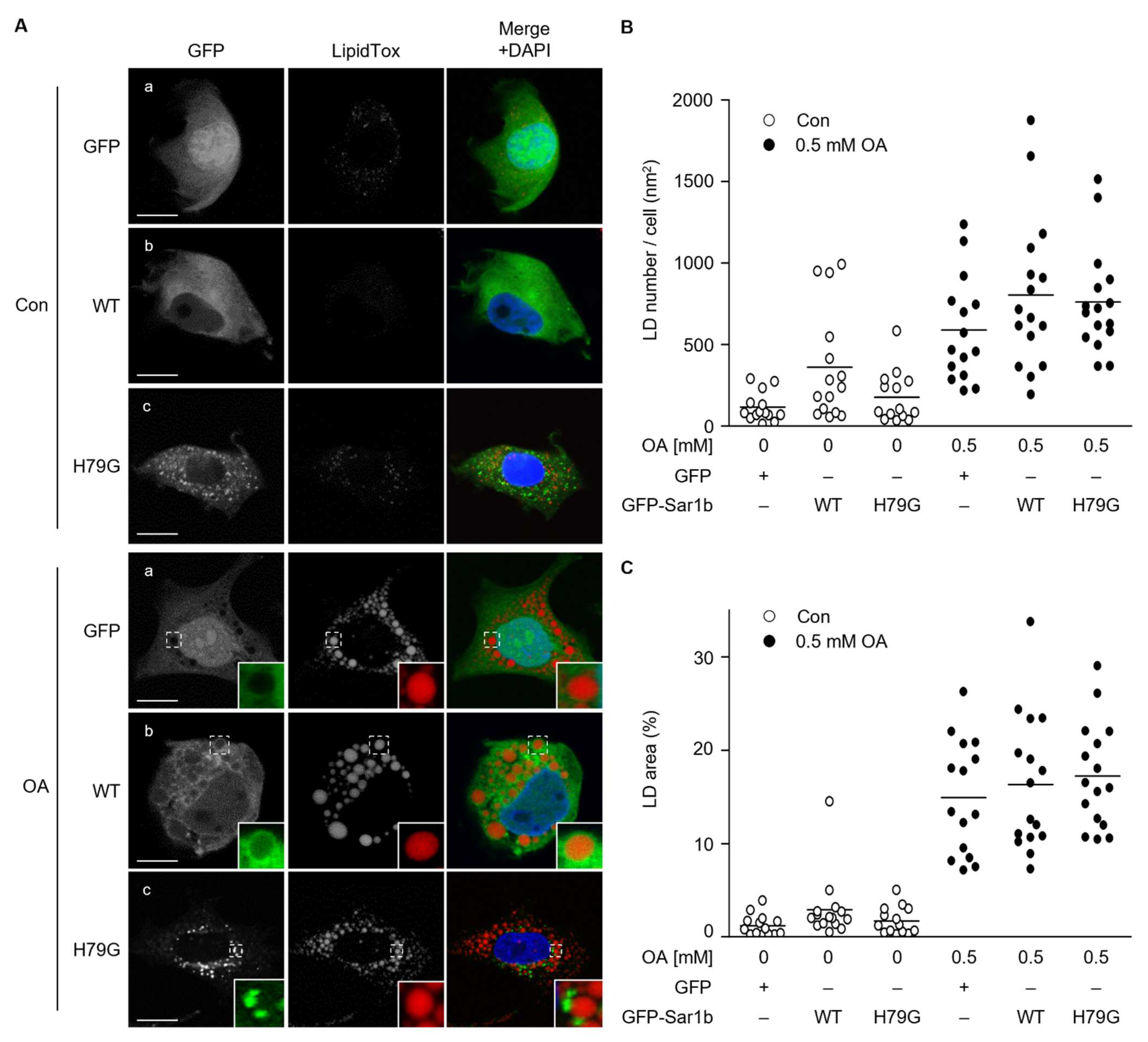 Ijms 23 06366 g001 550