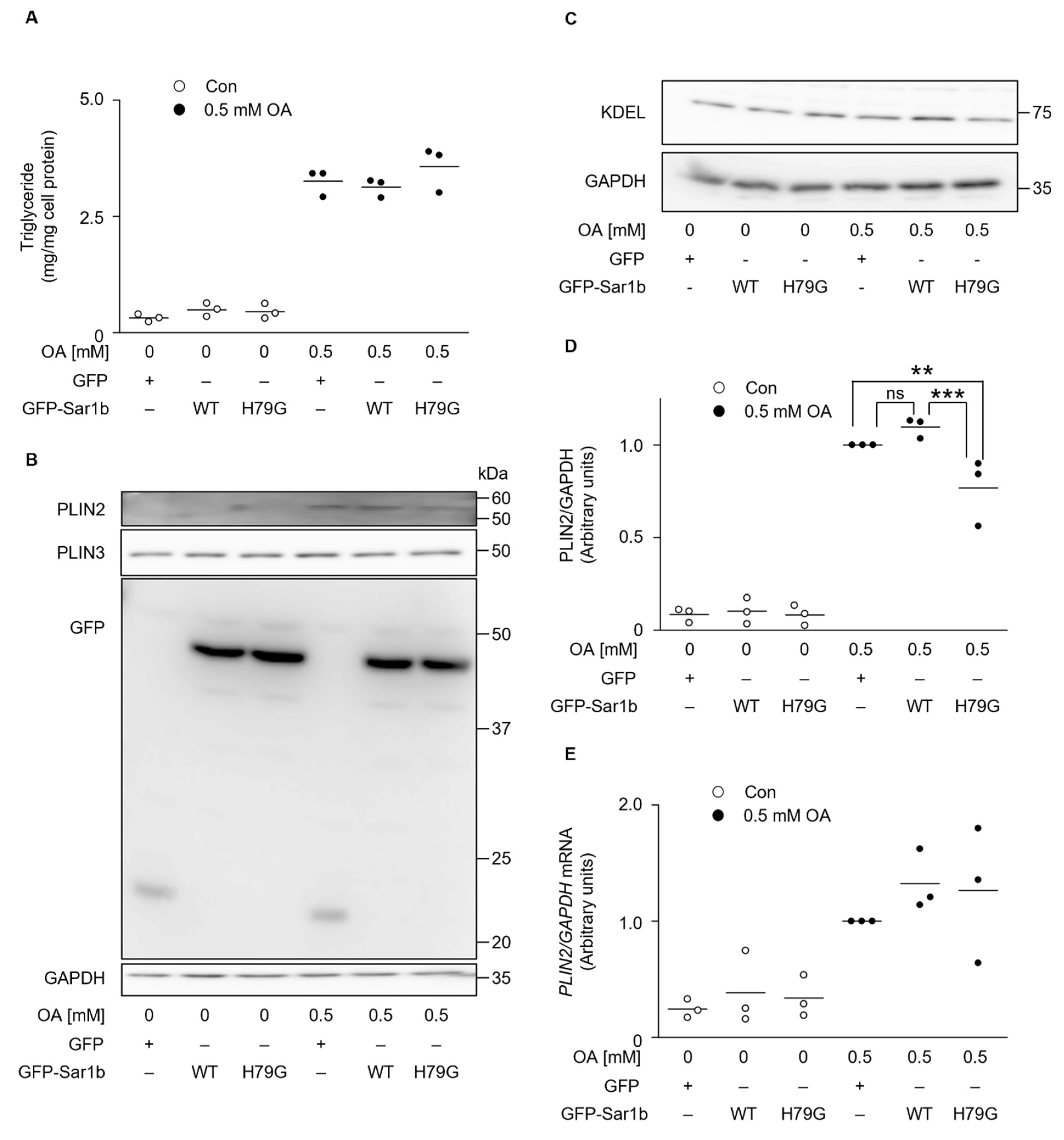 Ijms 23 06366 g002 550